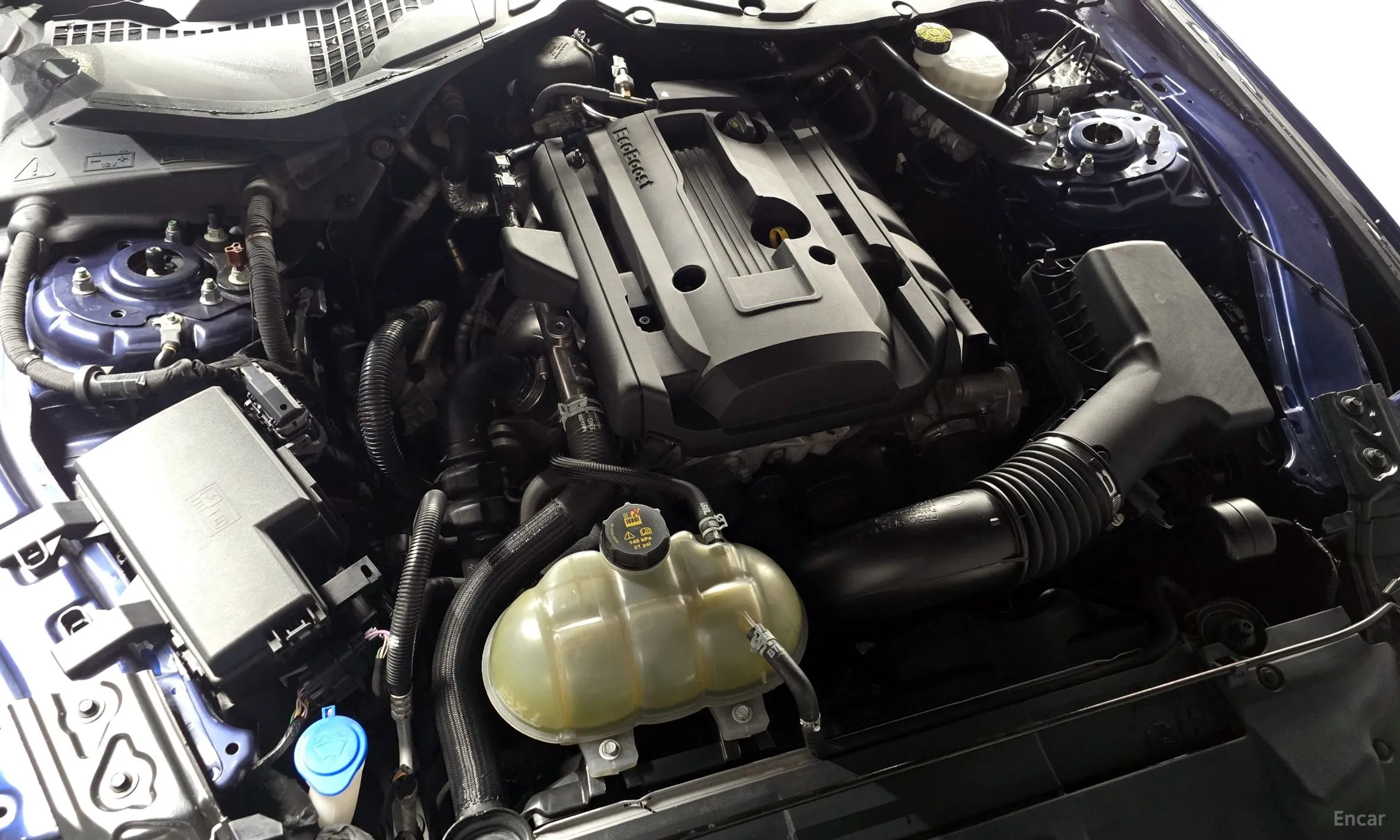 Ford Mustang превью 6