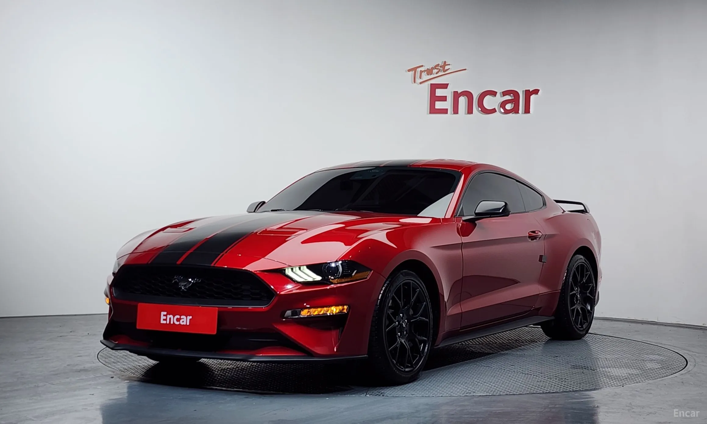 Mustang