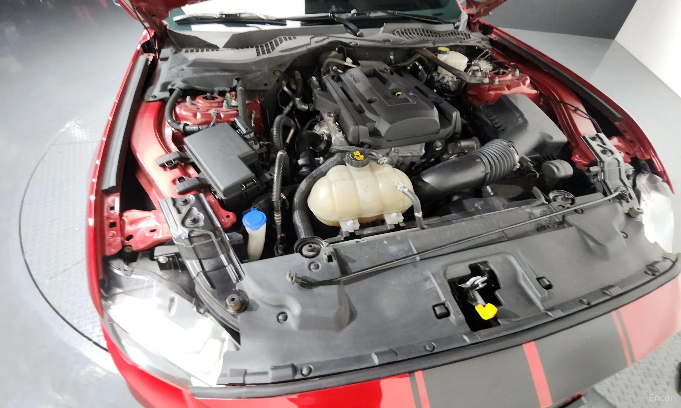 Ford Mustang превью 6