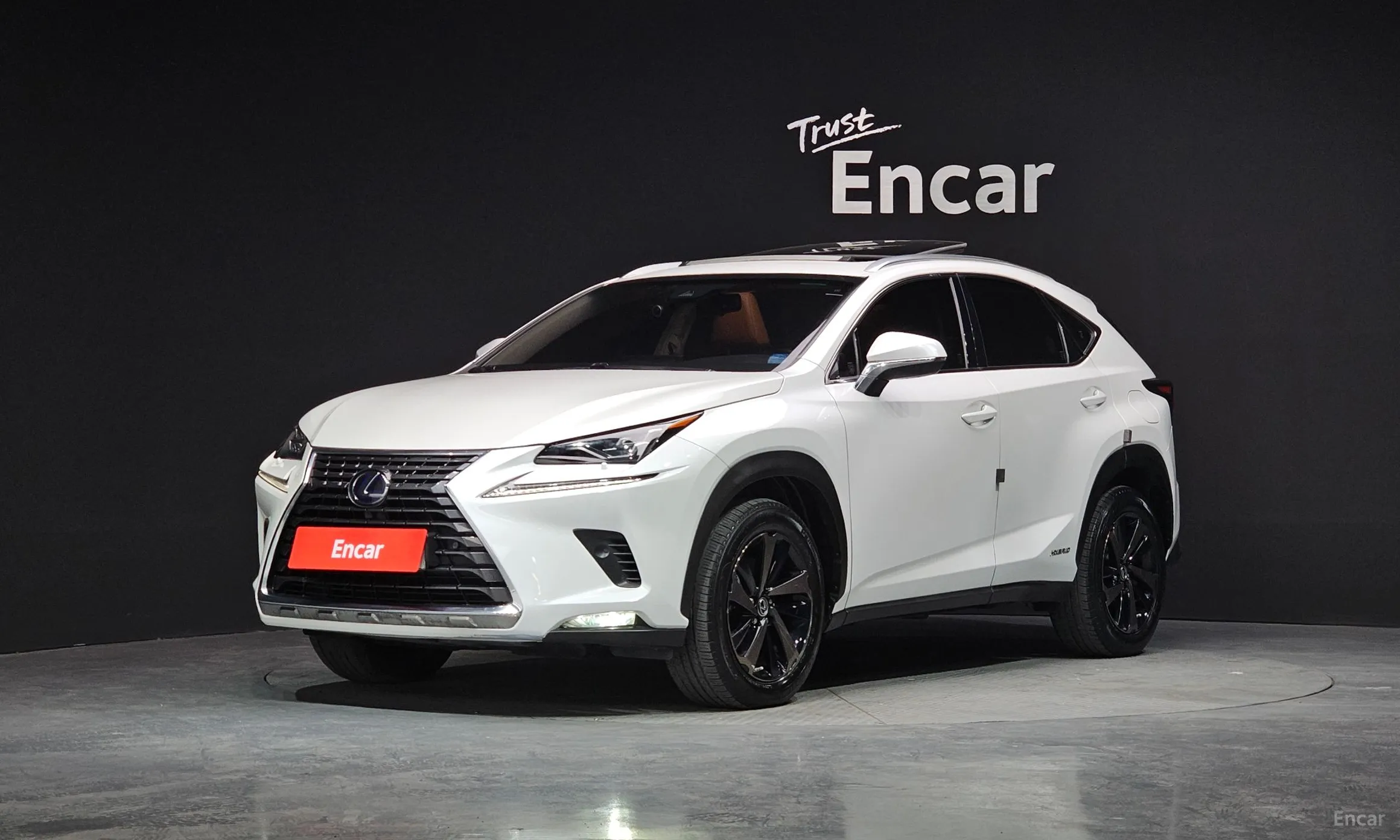 Lexus NX300h