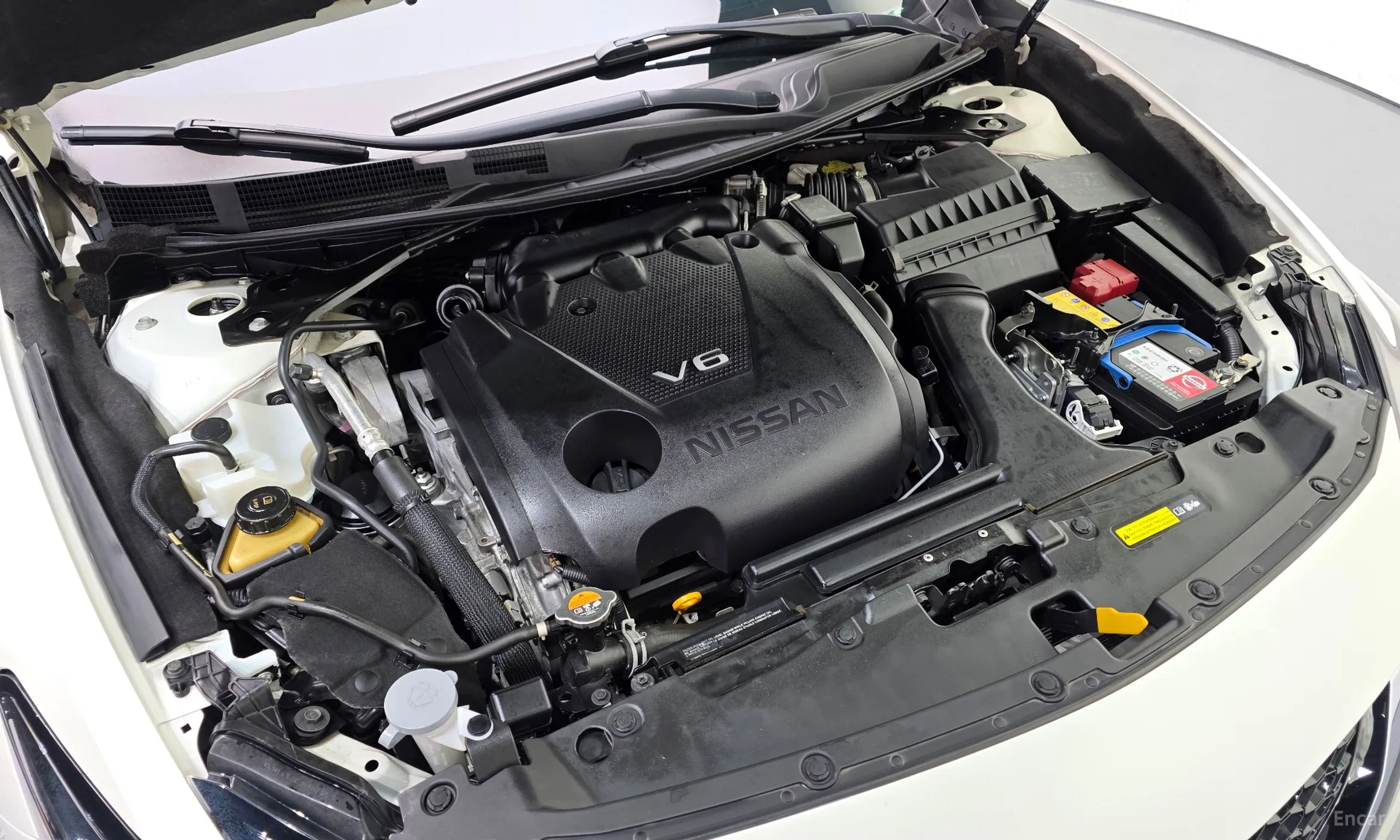 Nissan Maxima (A36) превью 6