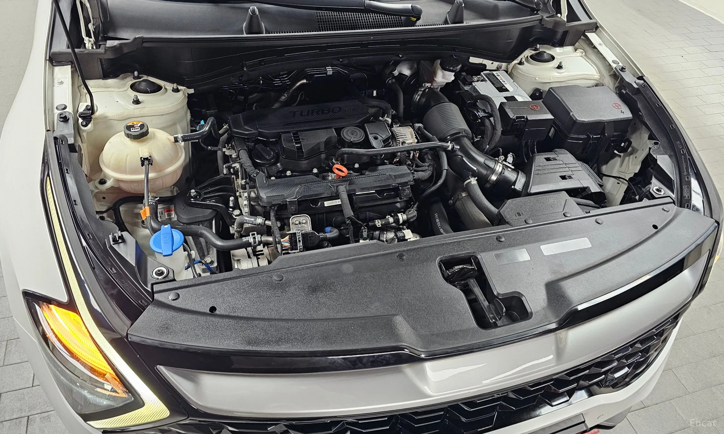 Kia Sportage 5th Generation превью 6
