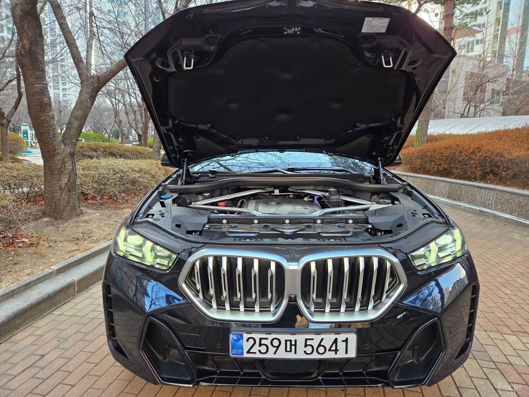 BMW X6 (G06)