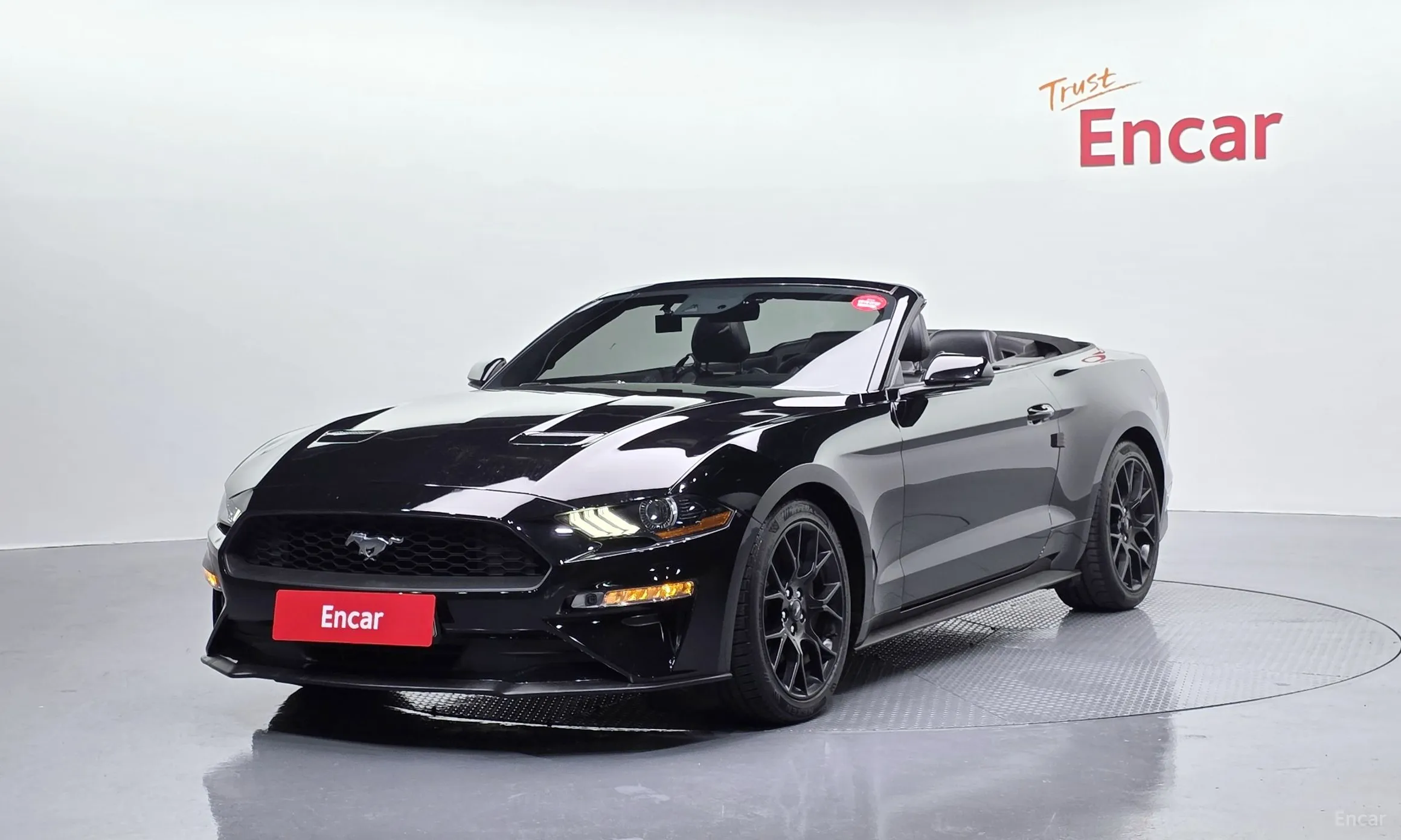Mustang