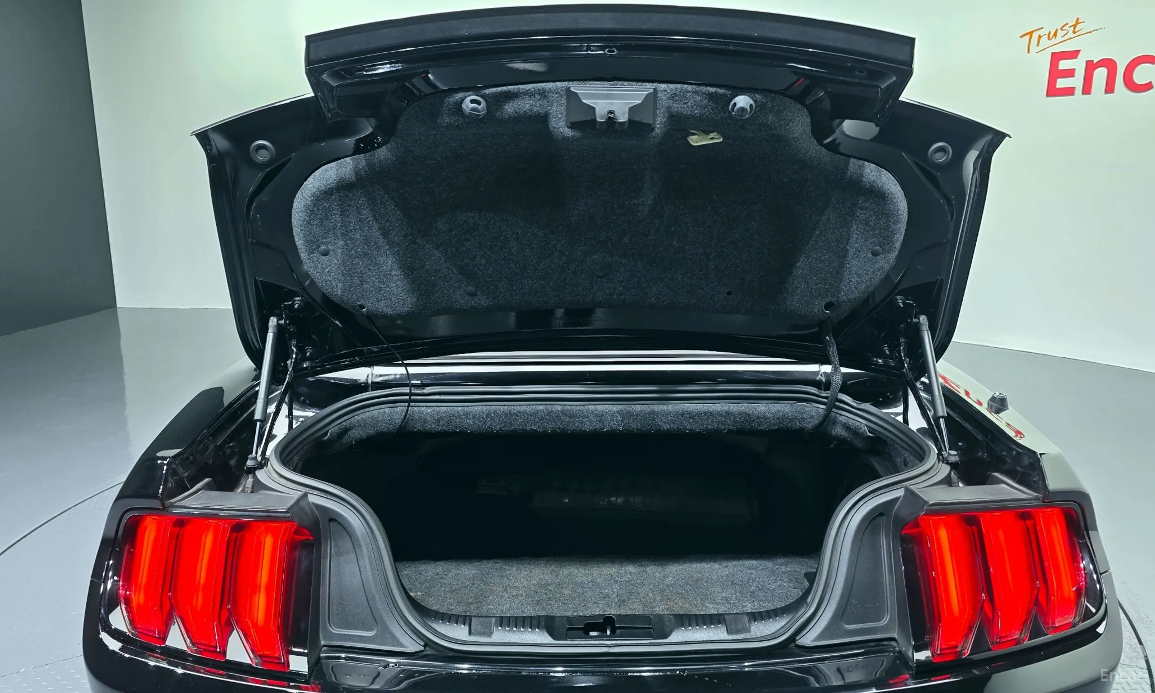 Ford Mustang превью 20