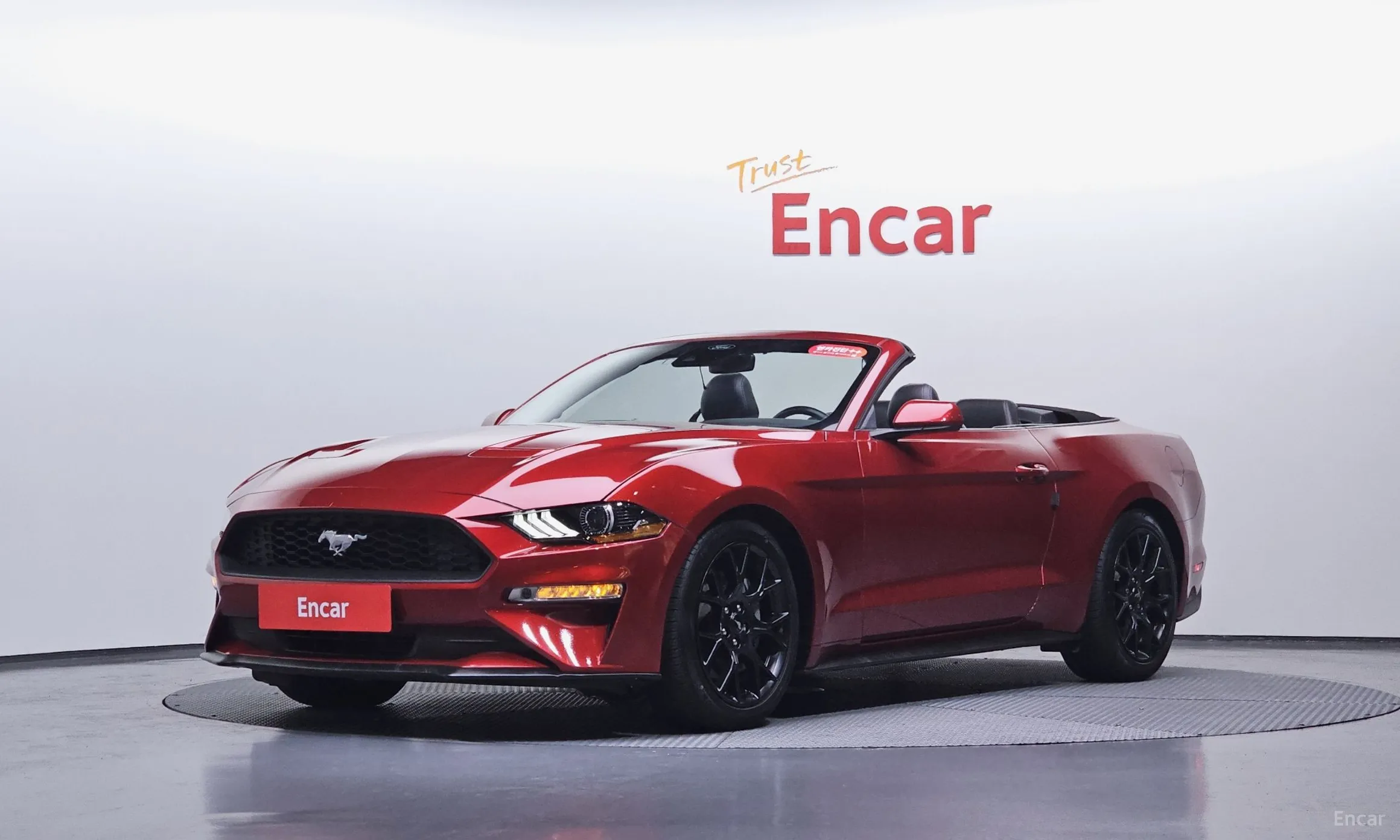 Mustang