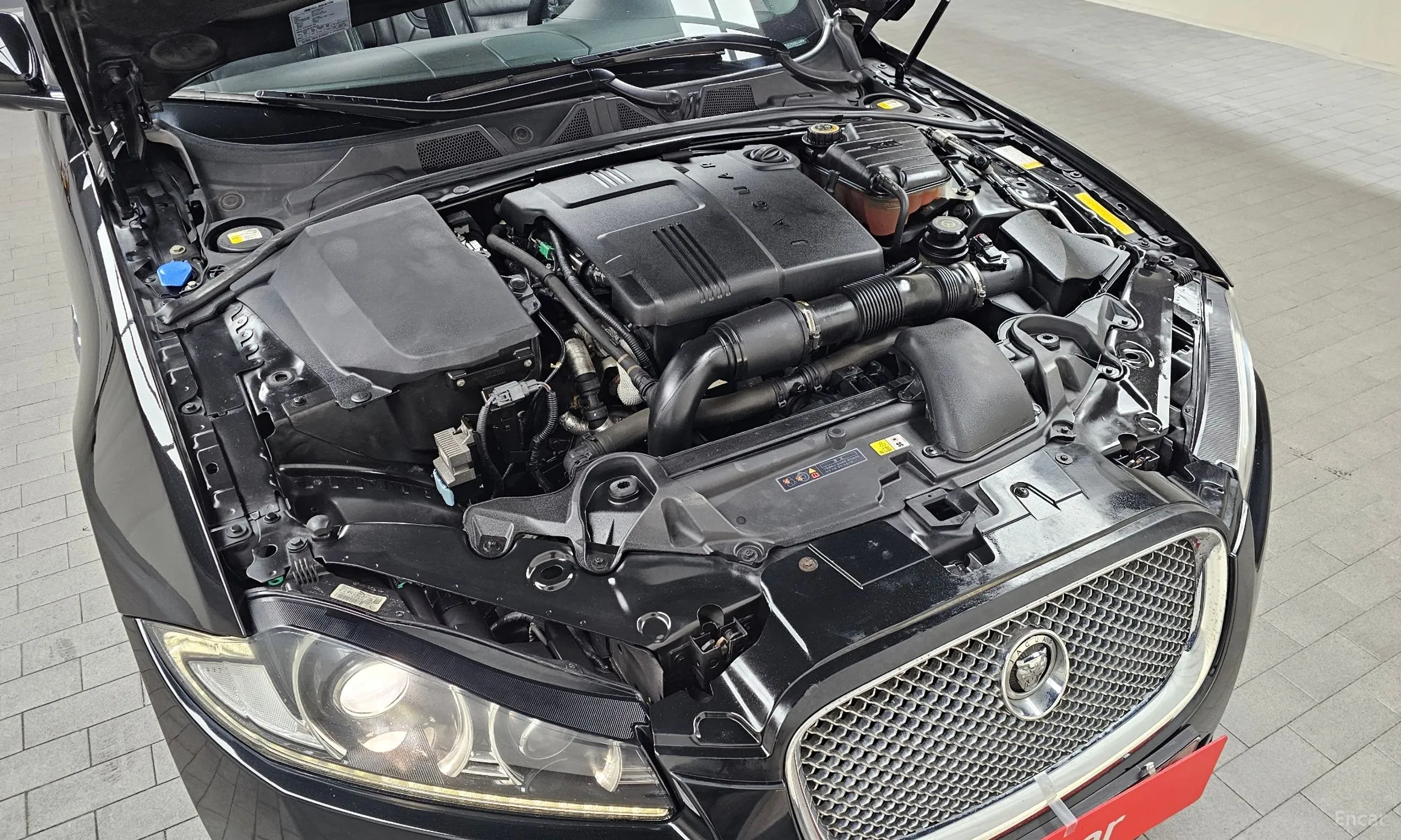 Jaguar New XF превью 6