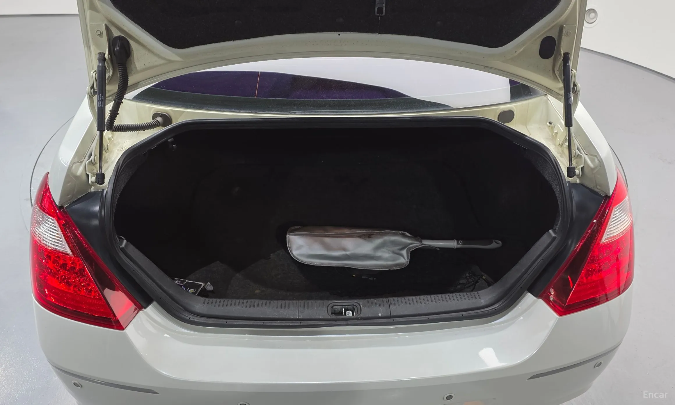 Renault Korea (Samsung) SM7 New Art превью 20