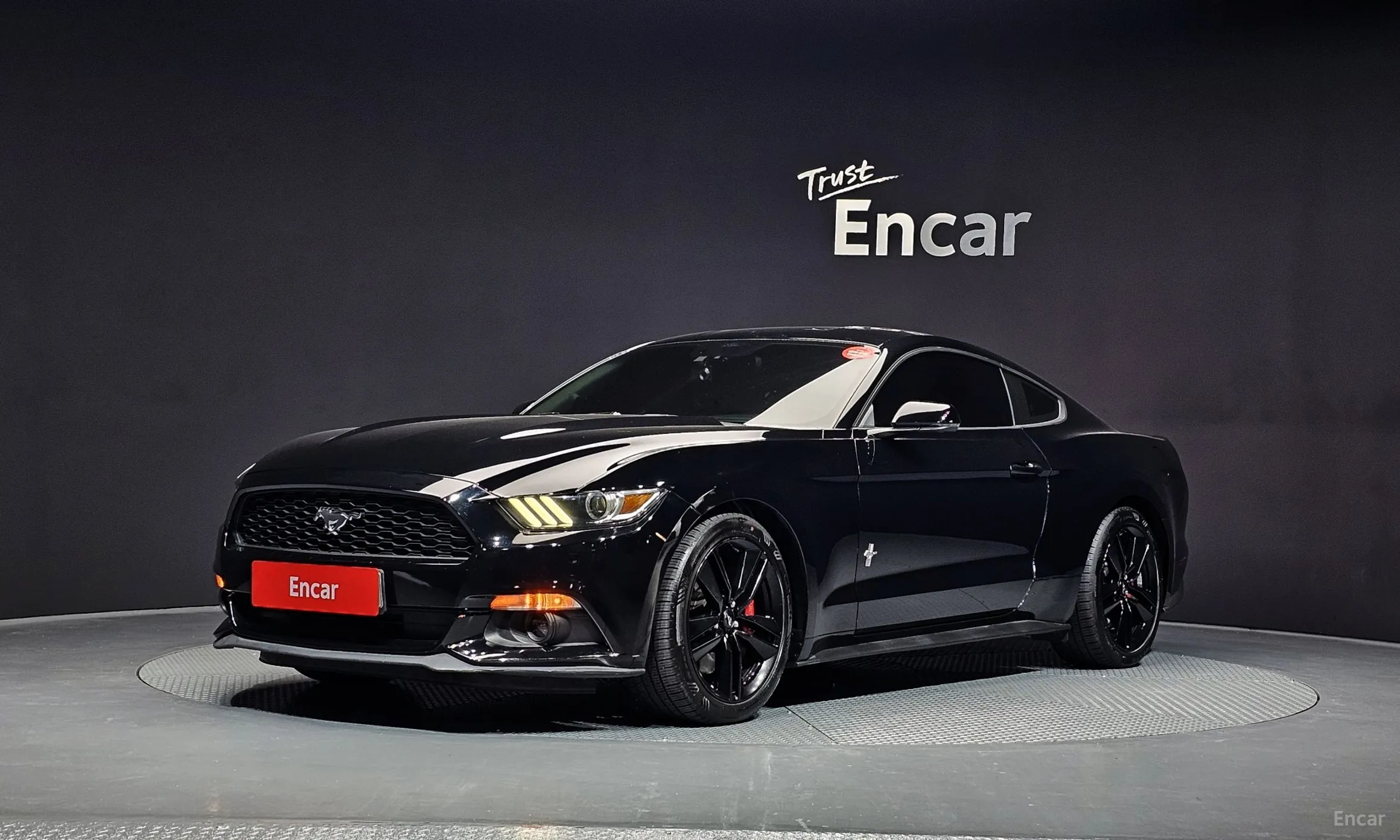 Mustang