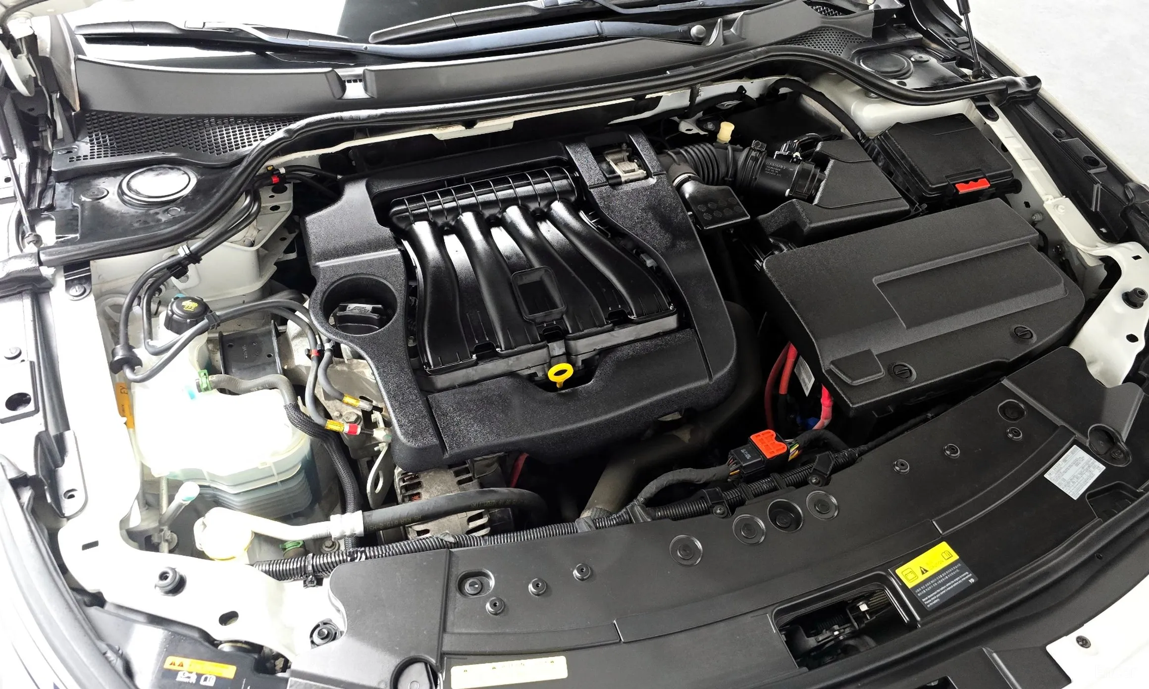 Renault Korea (Samsung) SM7 превью 6