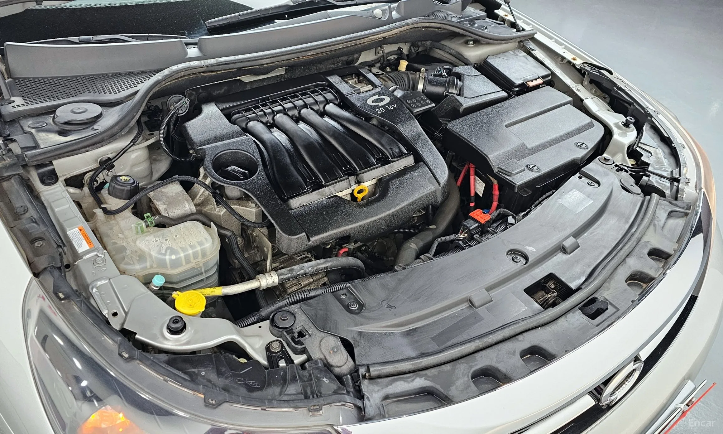 Renault Korea (Samsung) SM5 превью 6