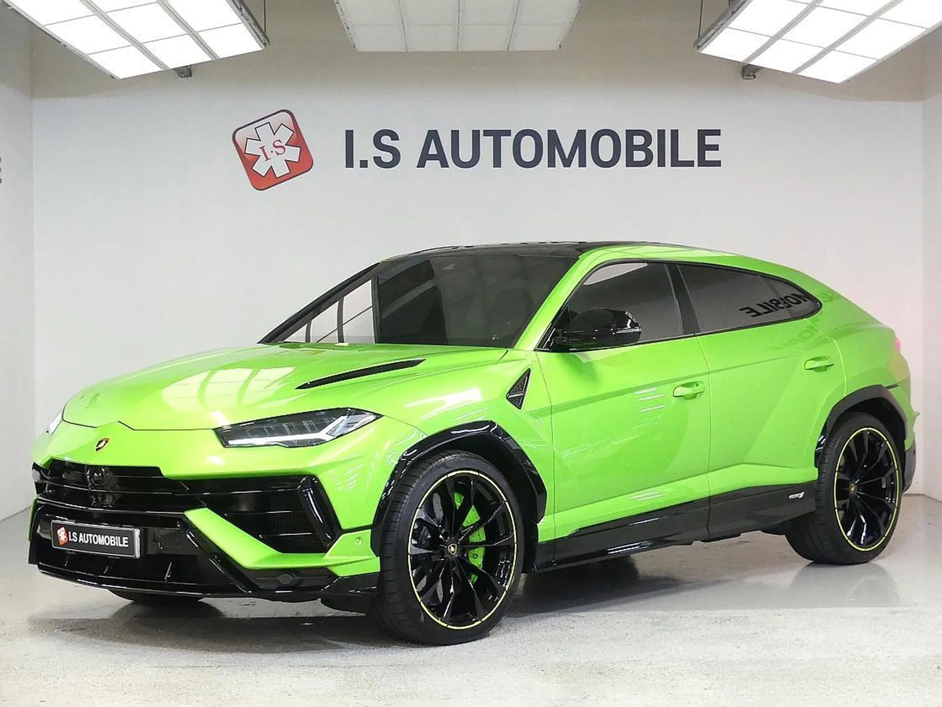 Urus