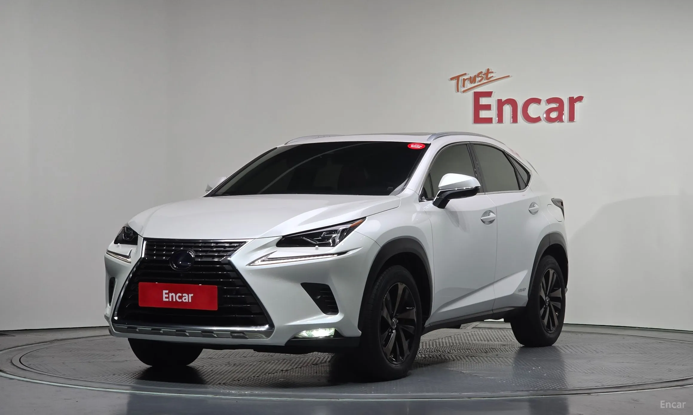 Lexus NX300h