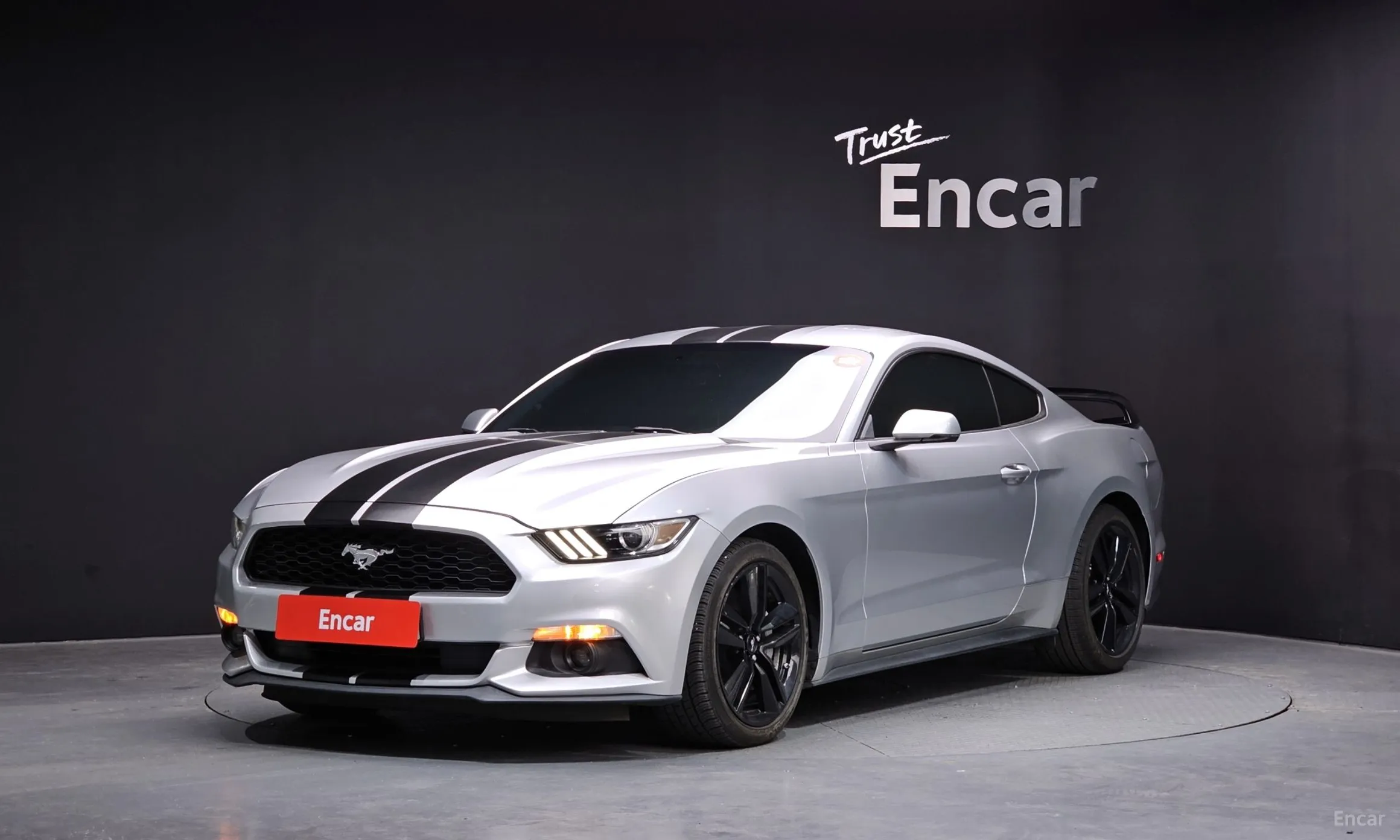 Mustang
