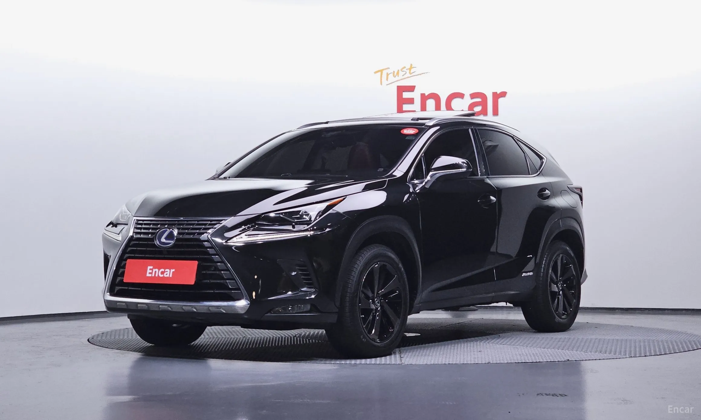 Lexus NX300h