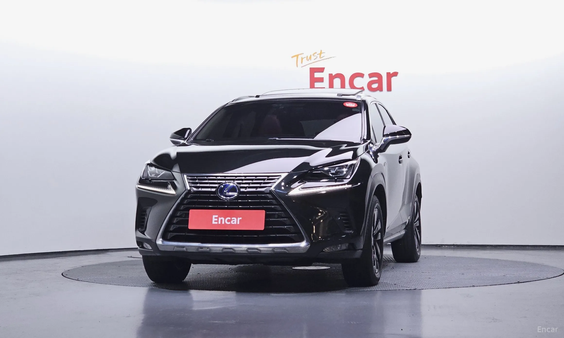 Lexus NX300h превью 3