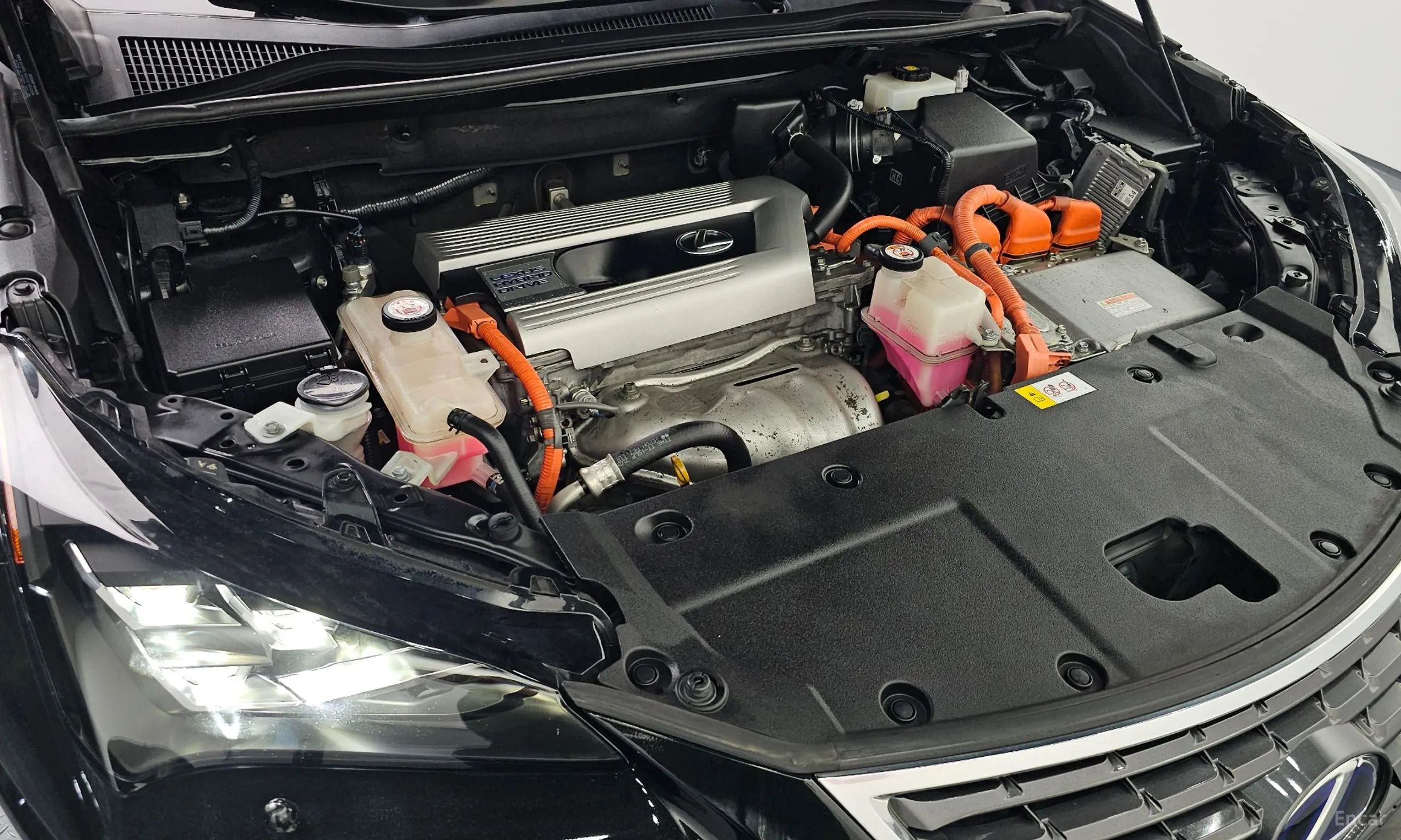 Lexus NX300h превью 6