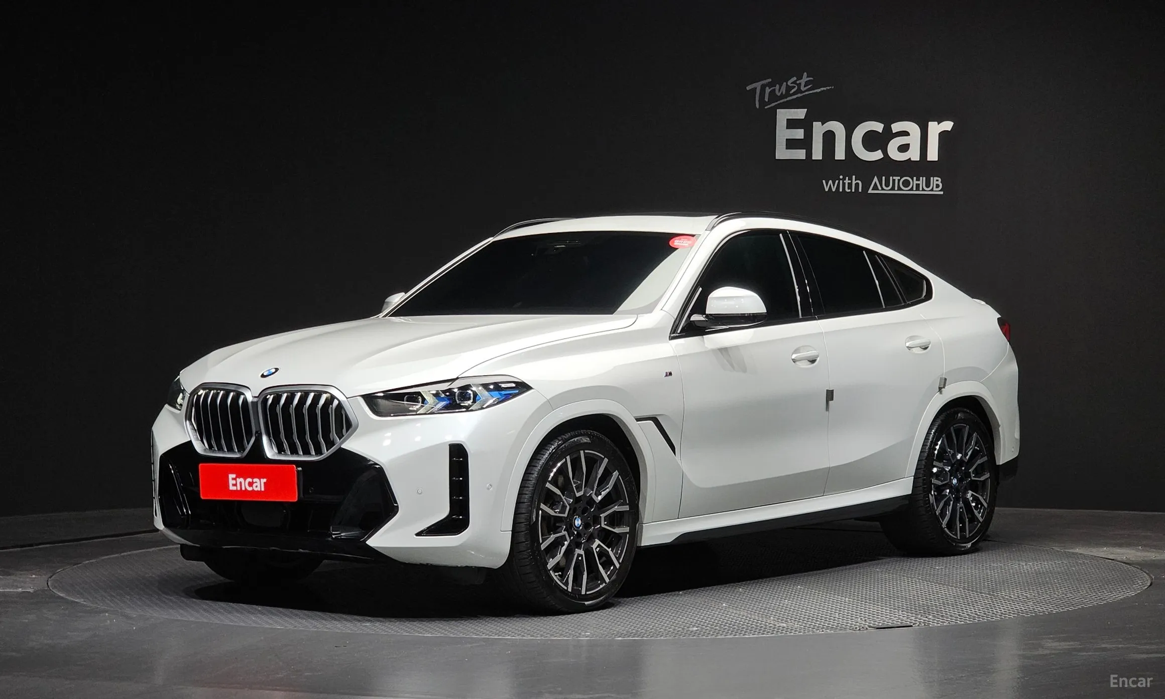 BMW X6 (G06)