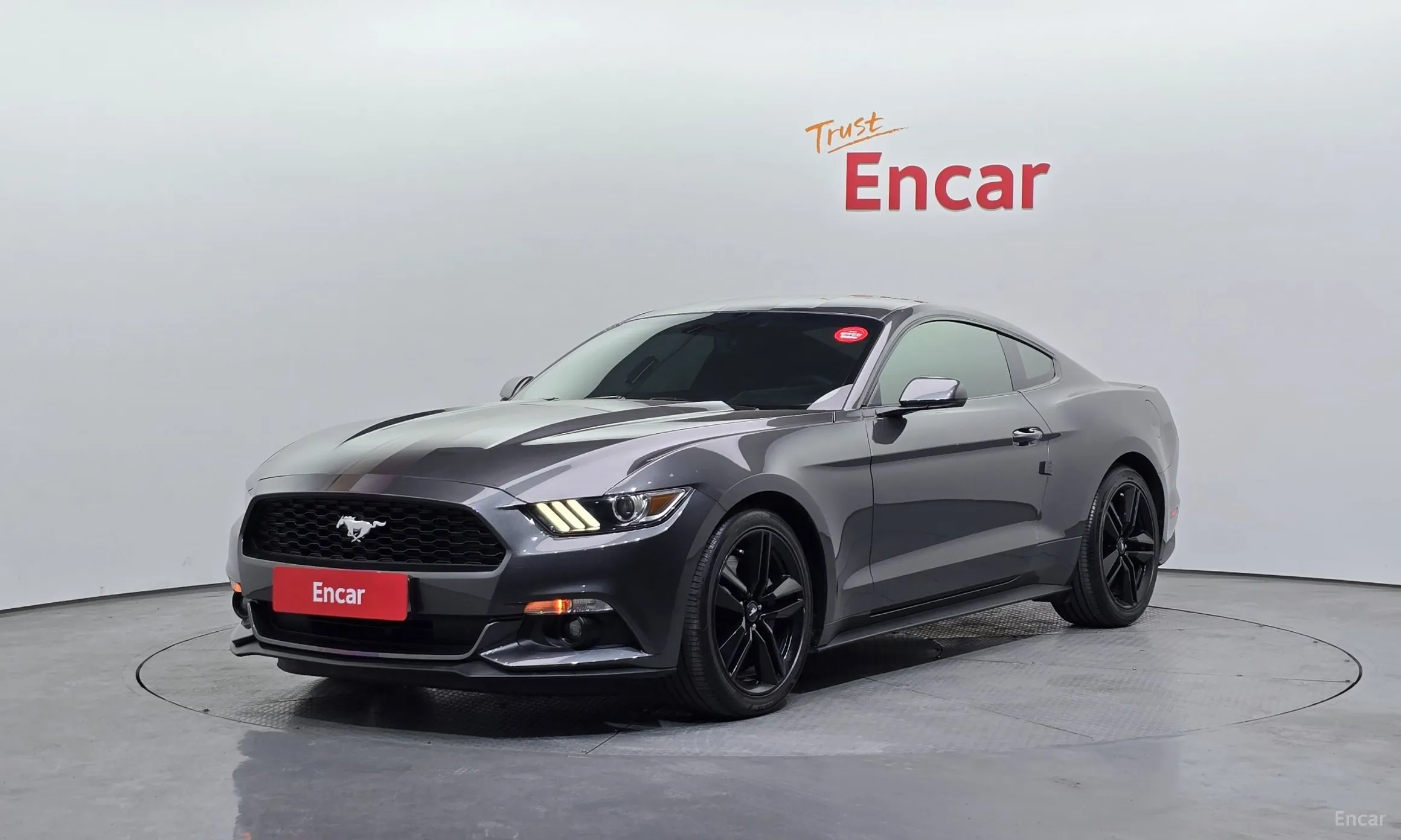 Mustang
