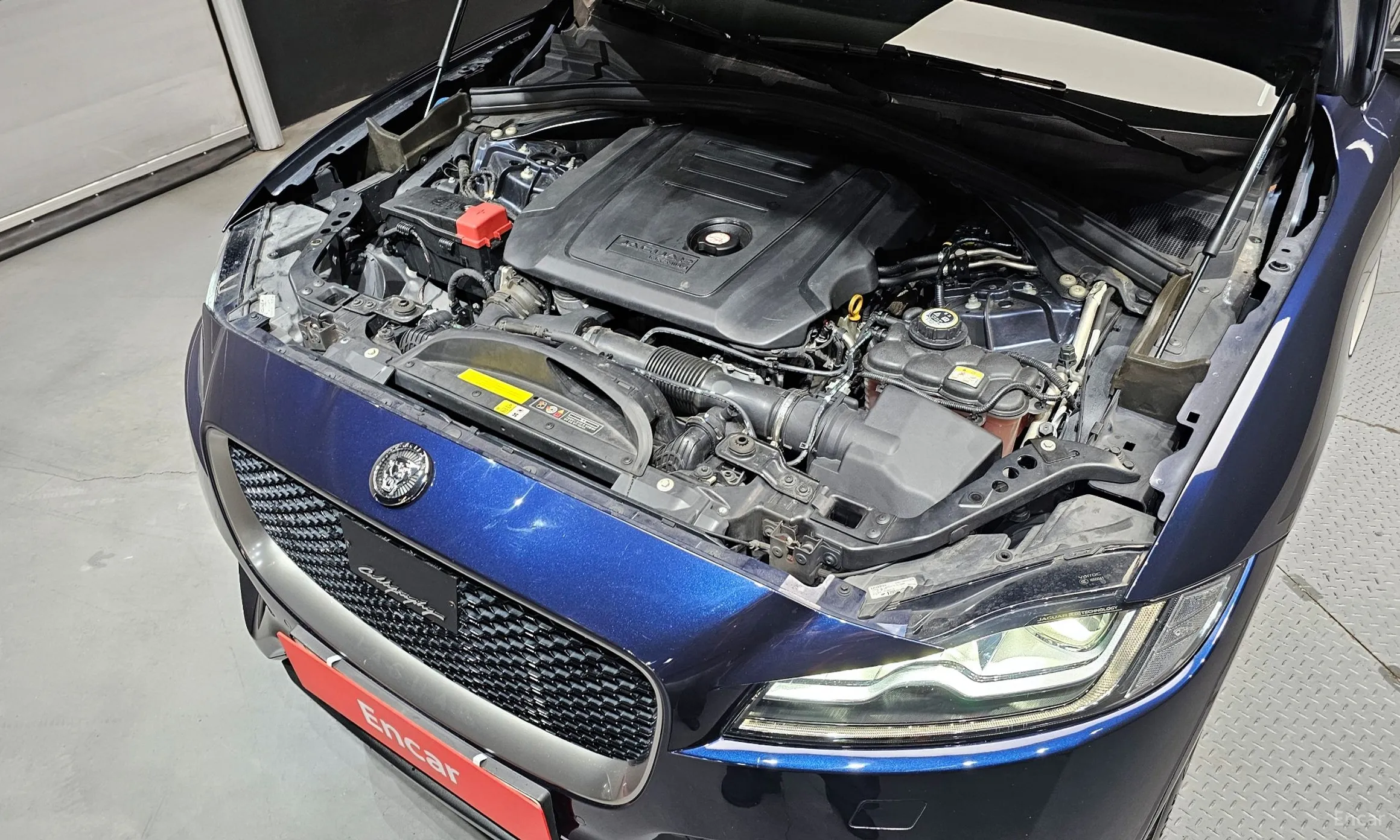 Jaguar F-PACE превью 6