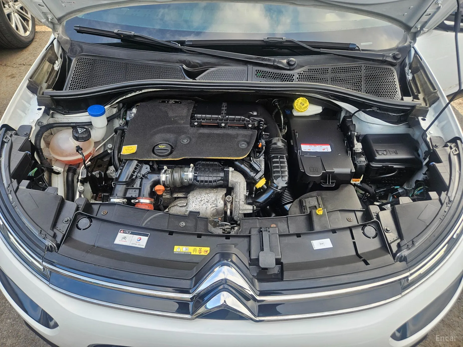 Citroën/DS C4 Cocktooth превью 6