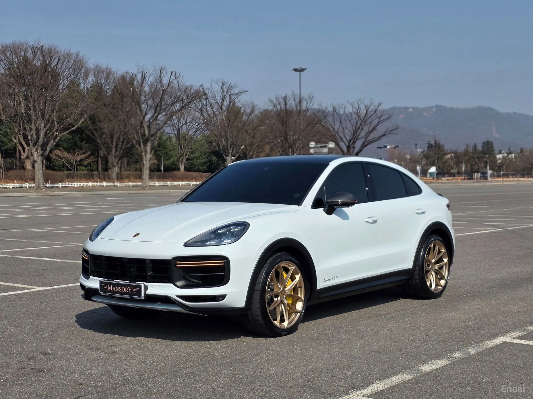 Cayenne (PO536)