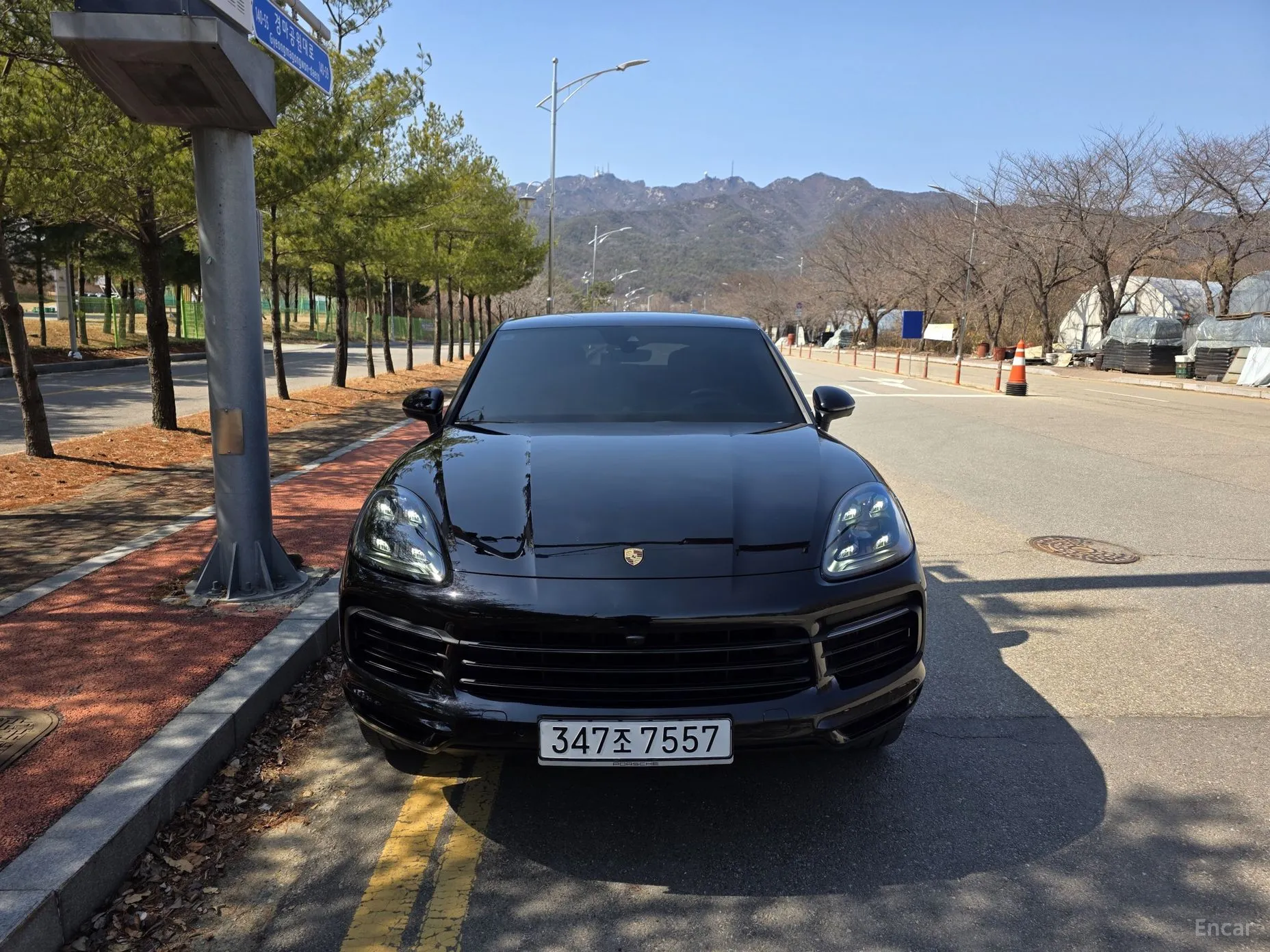 Cayenne (PO536)