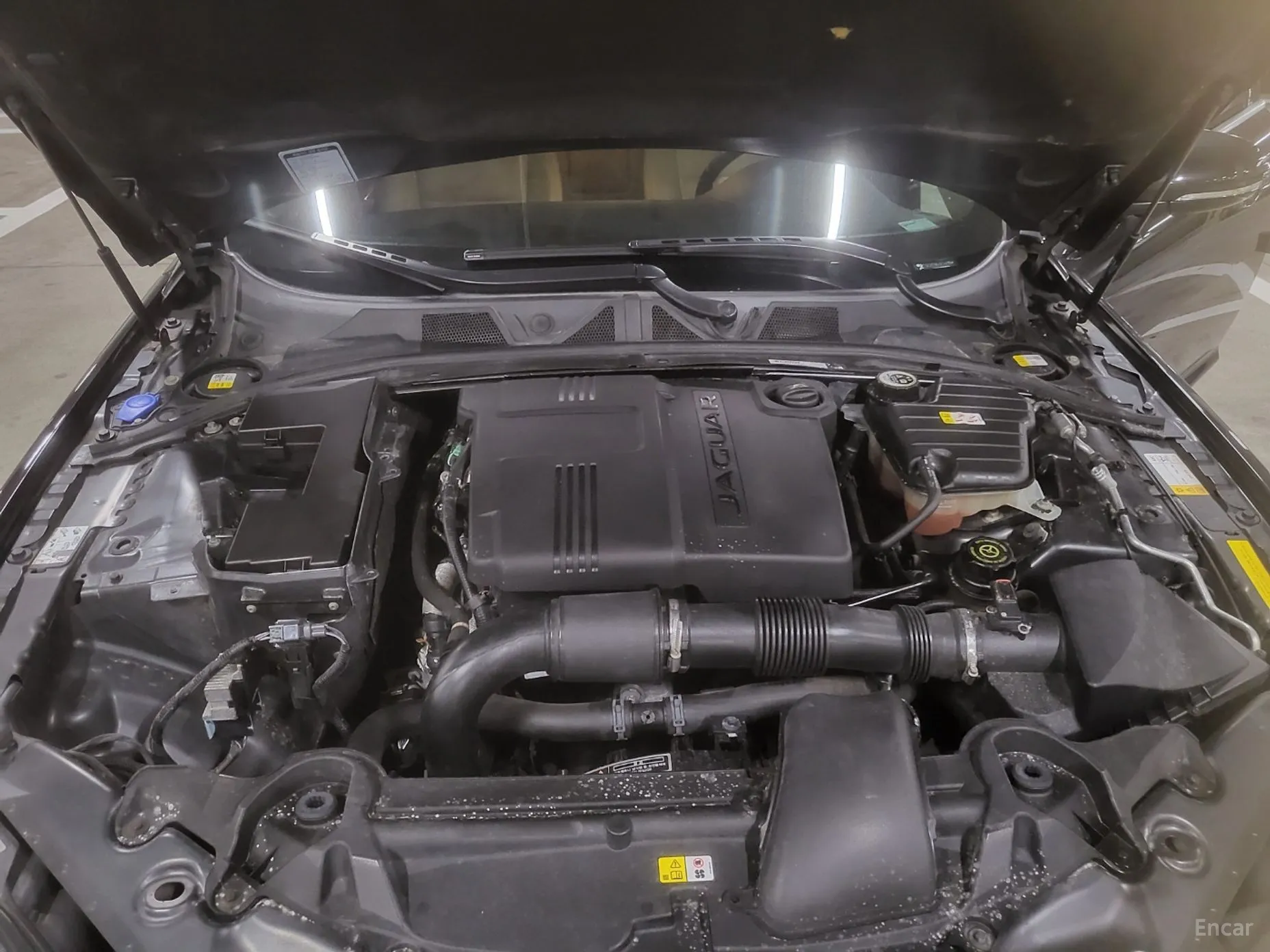 Jaguar New XF превью 6