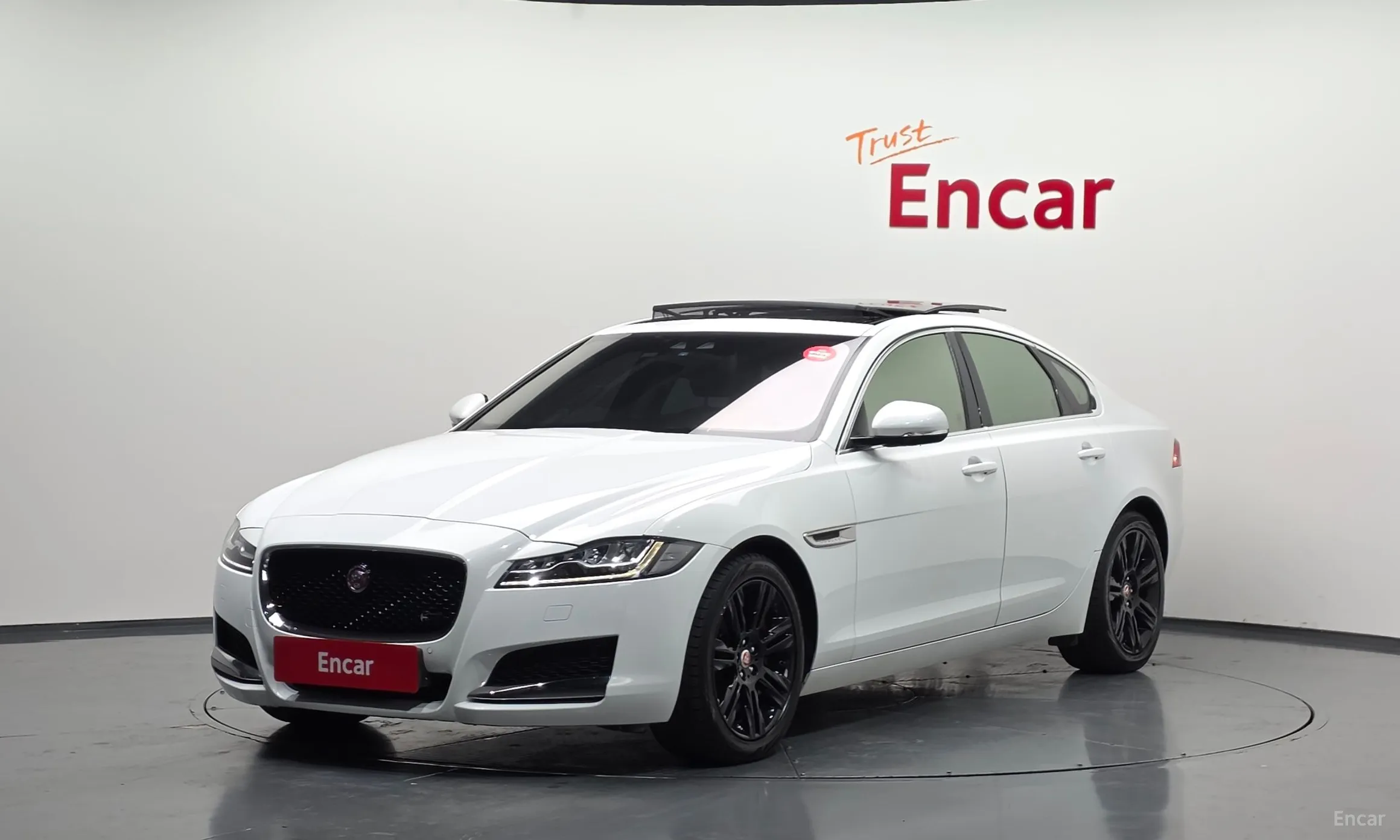 XF (x260)