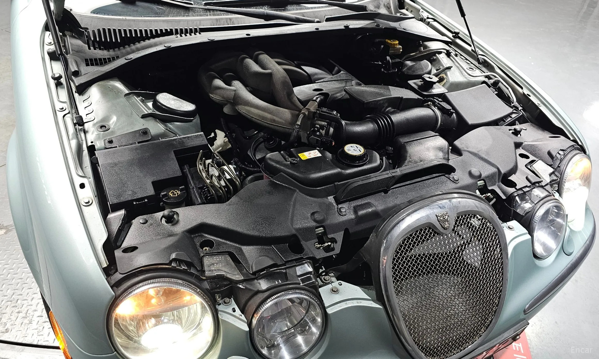 Jaguar %s type. превью 6