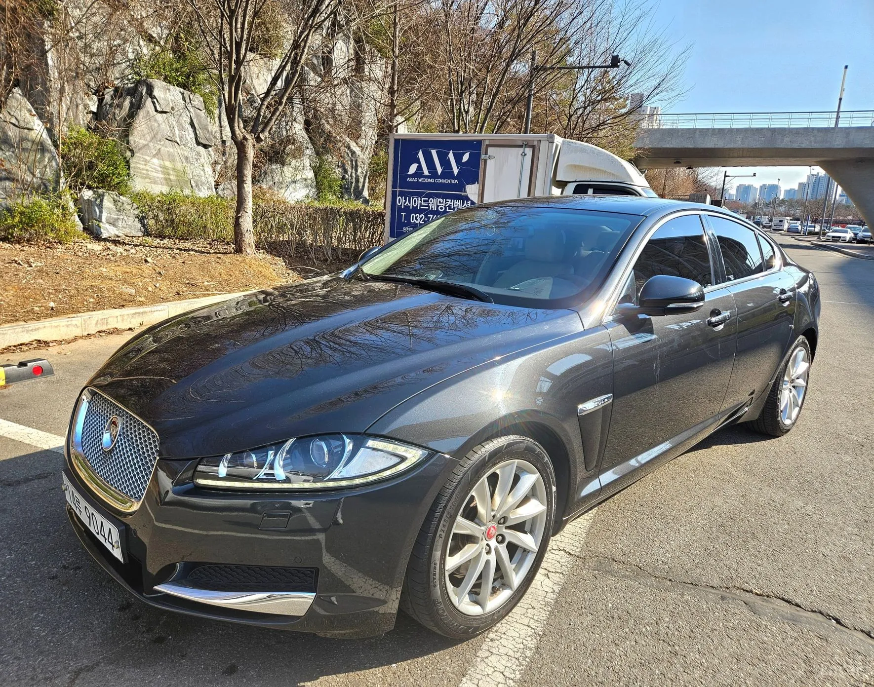 New XF