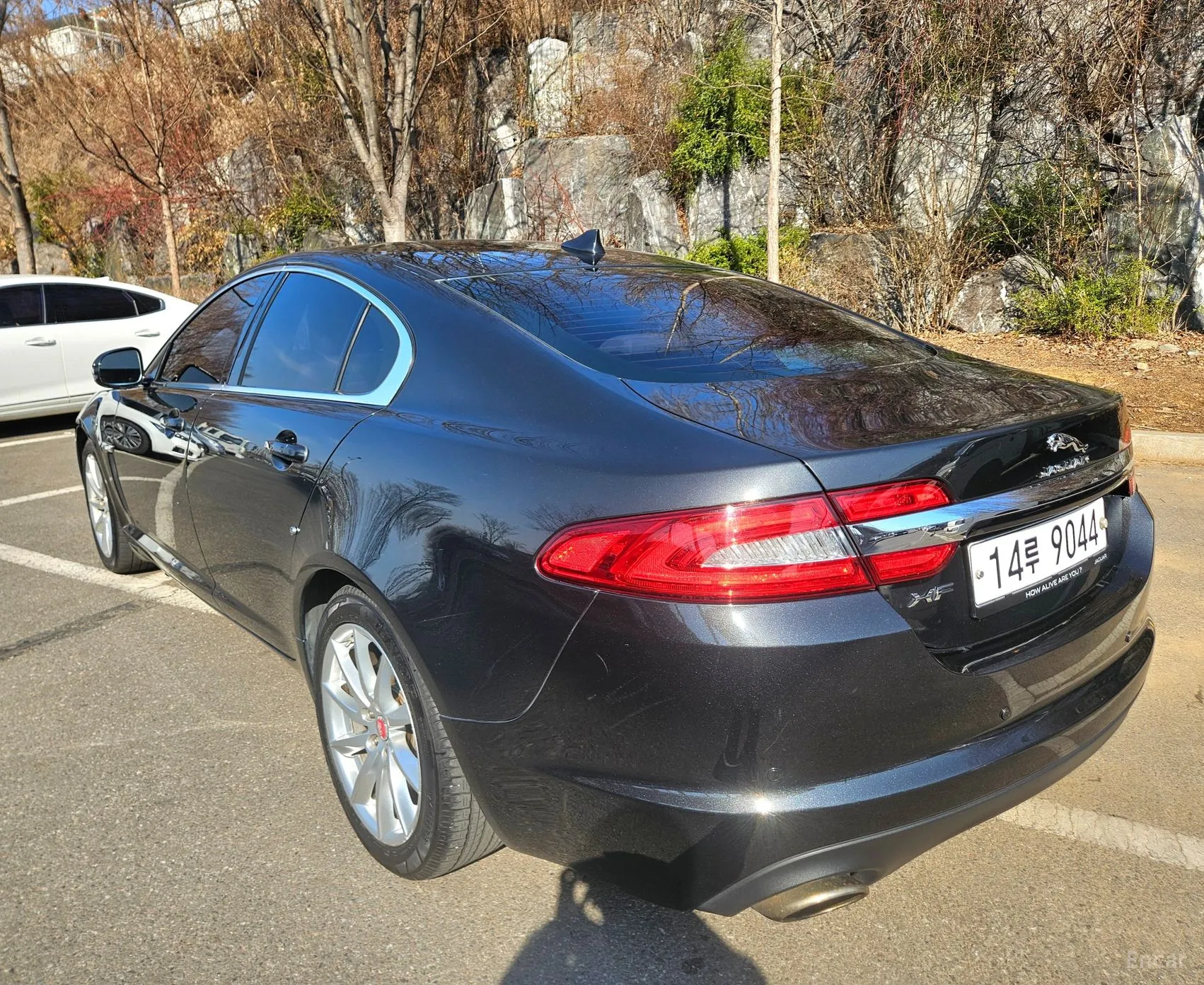Jaguar New XF превью 4