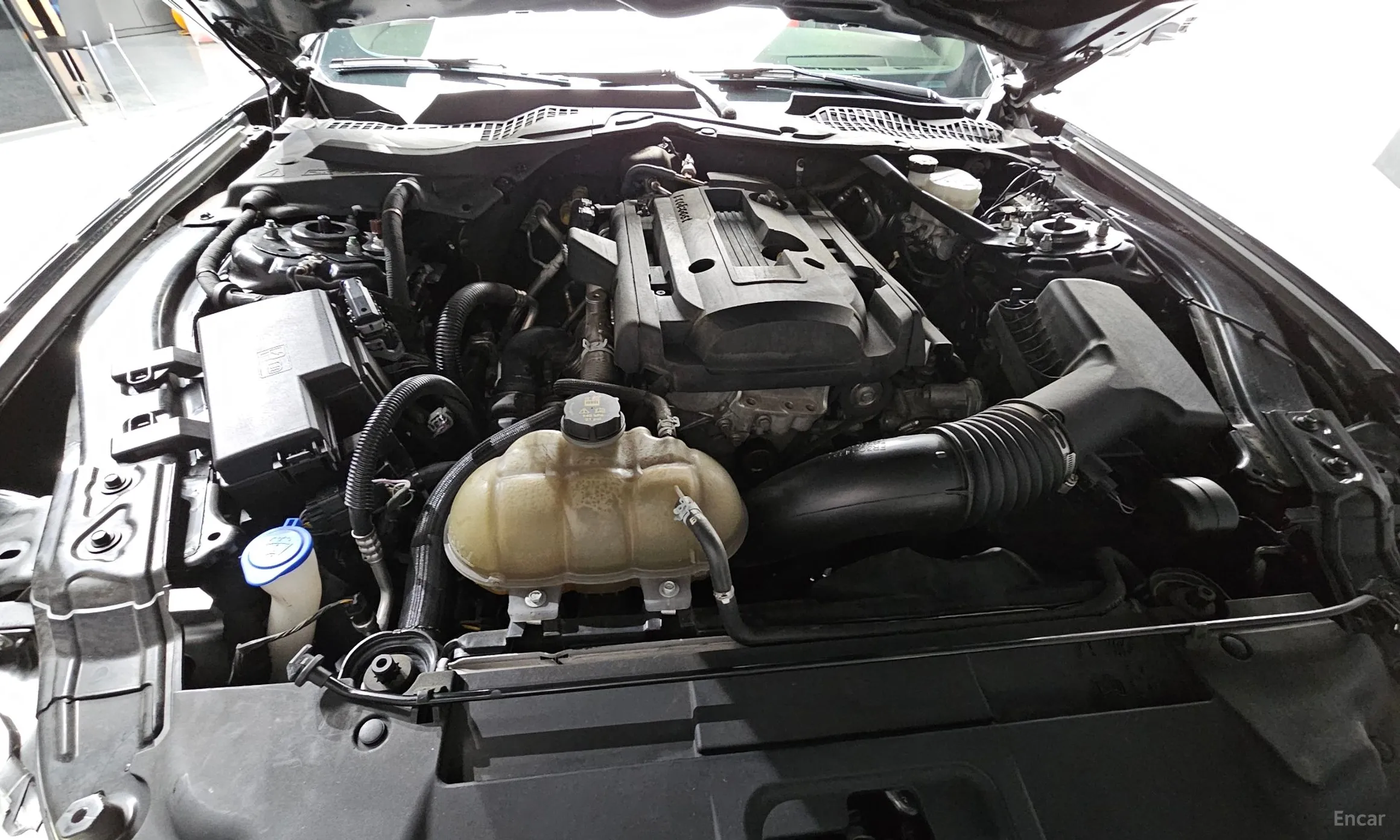 Ford Mustang превью 6