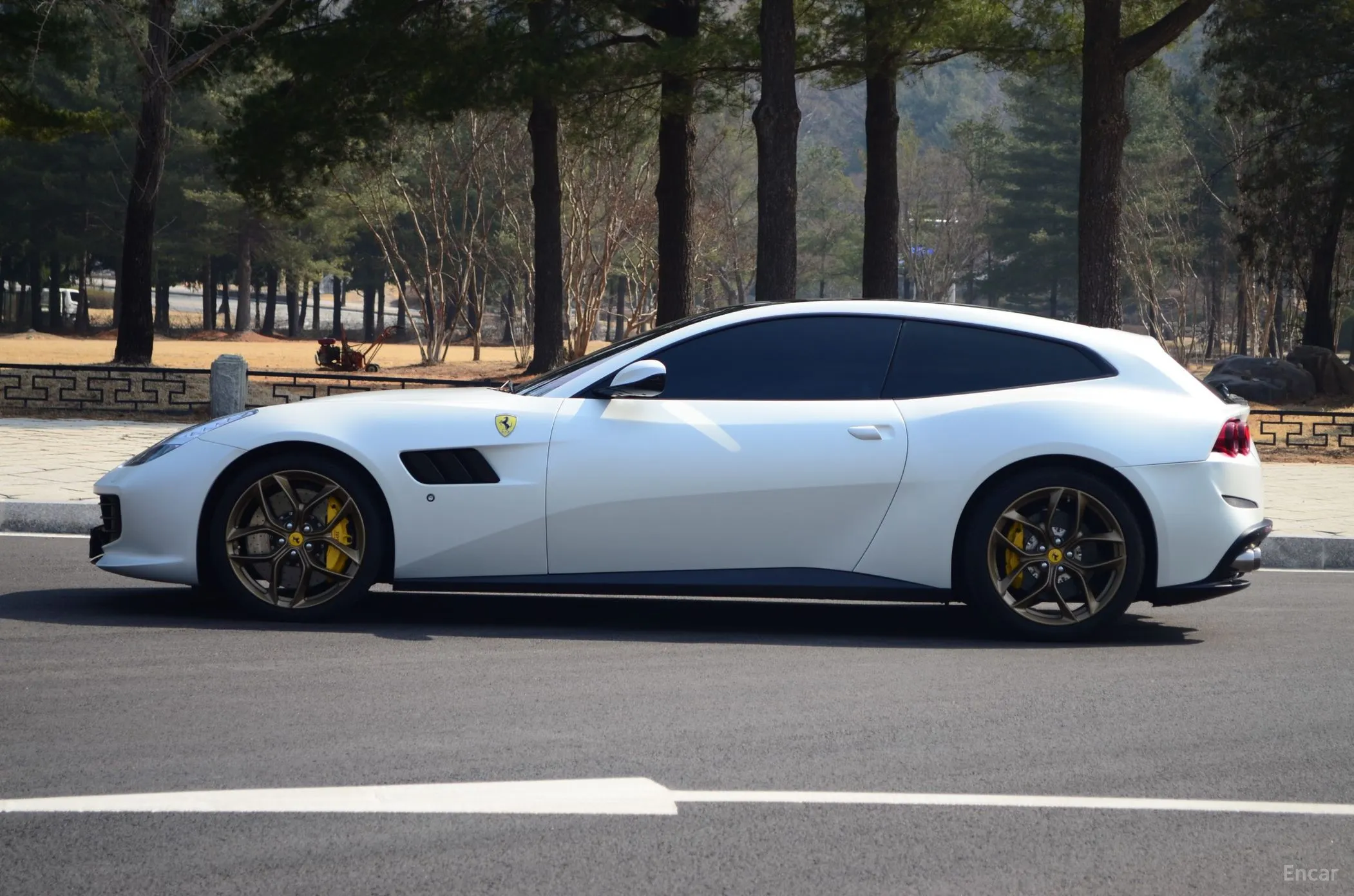 Ferrari GTC4 Rousseau превью 19