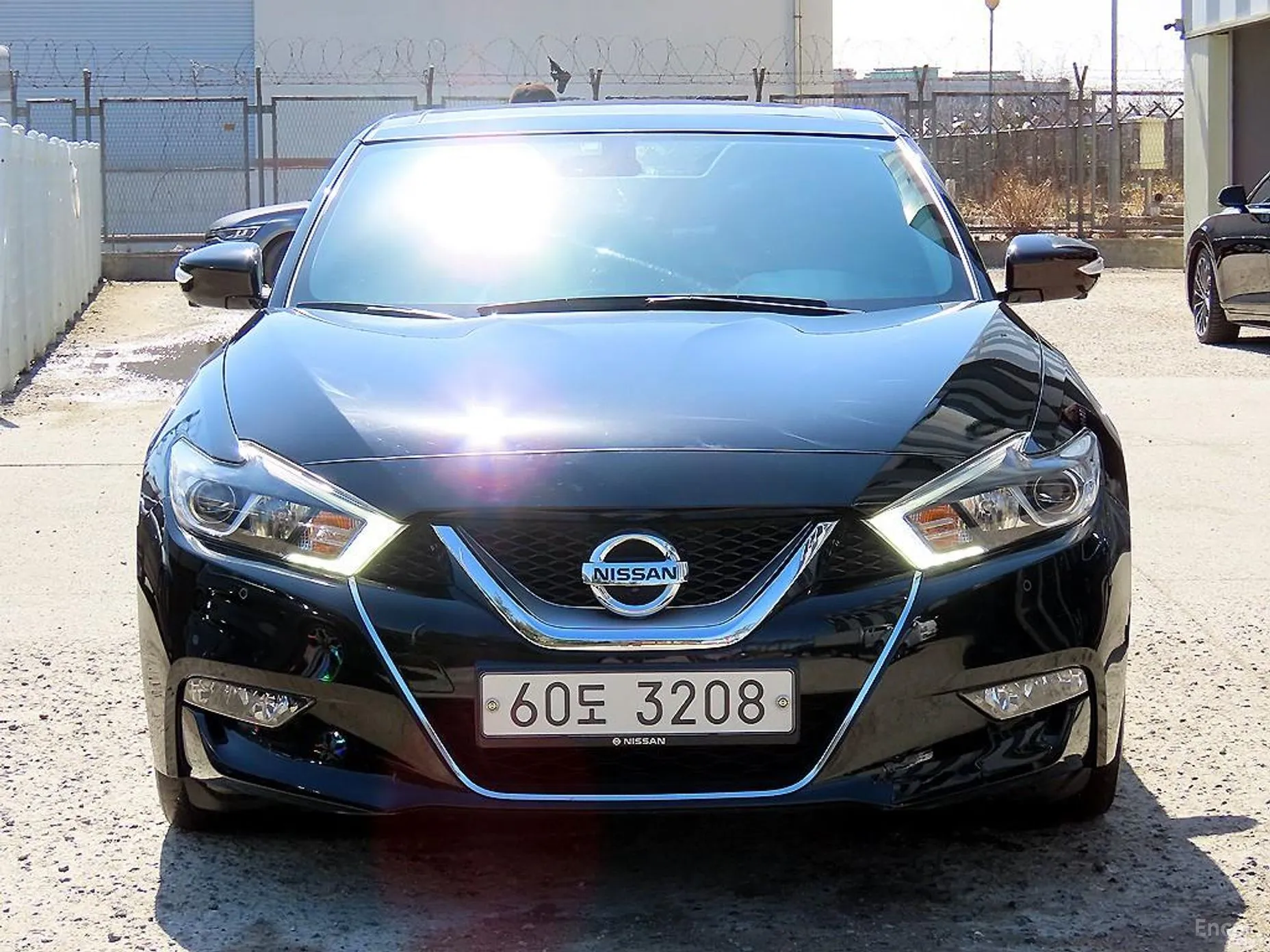 Maxima (A36)