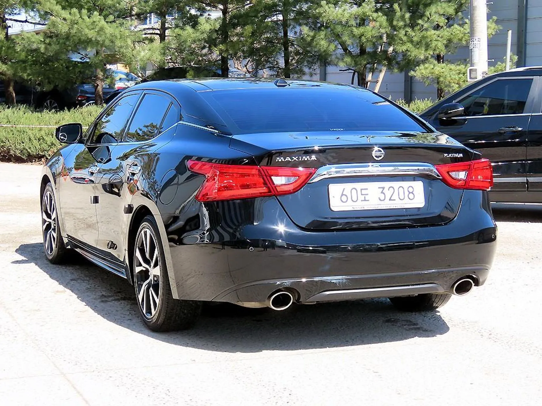 Nissan Maxima (A36) превью 3