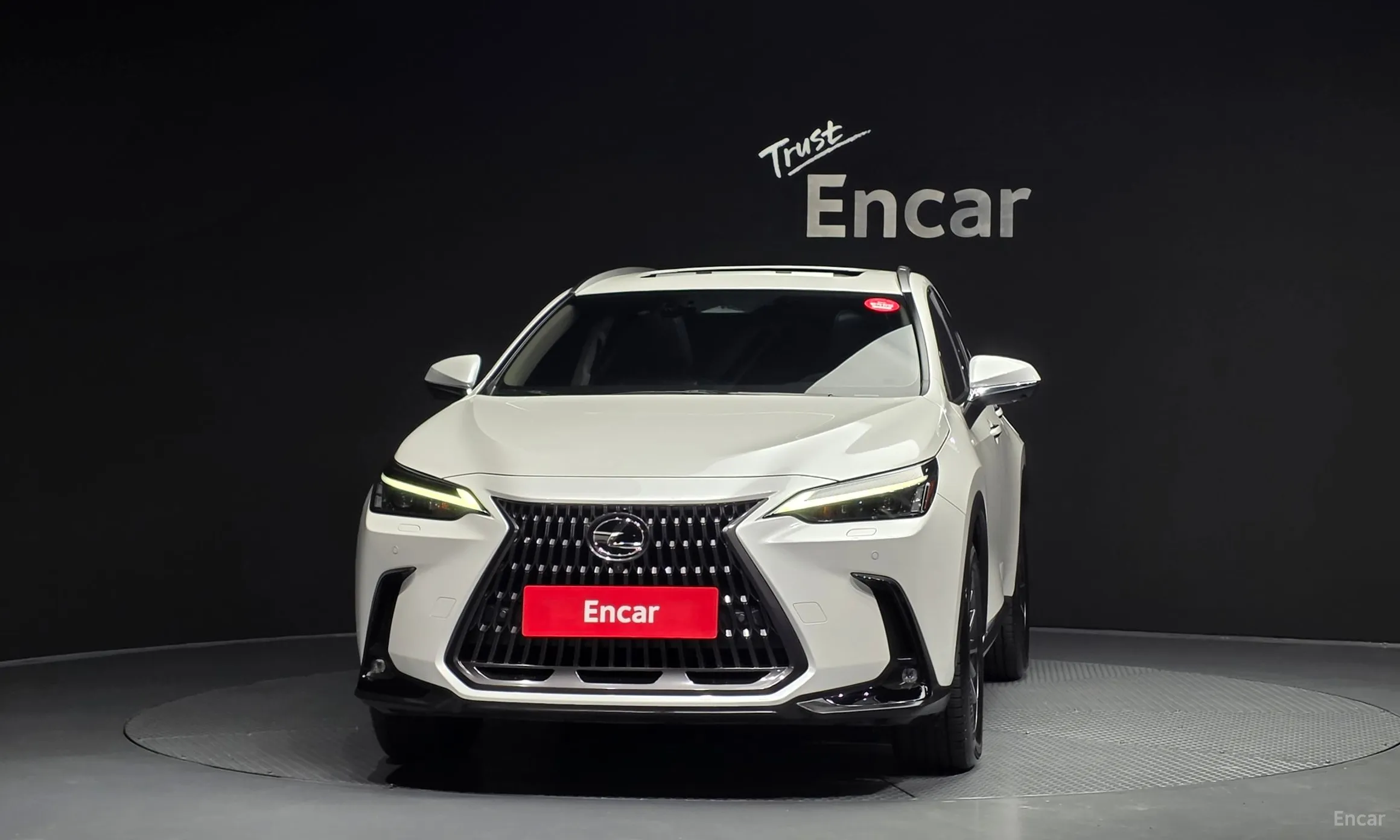 Lexus NX450h + 2nd Gen превью 3