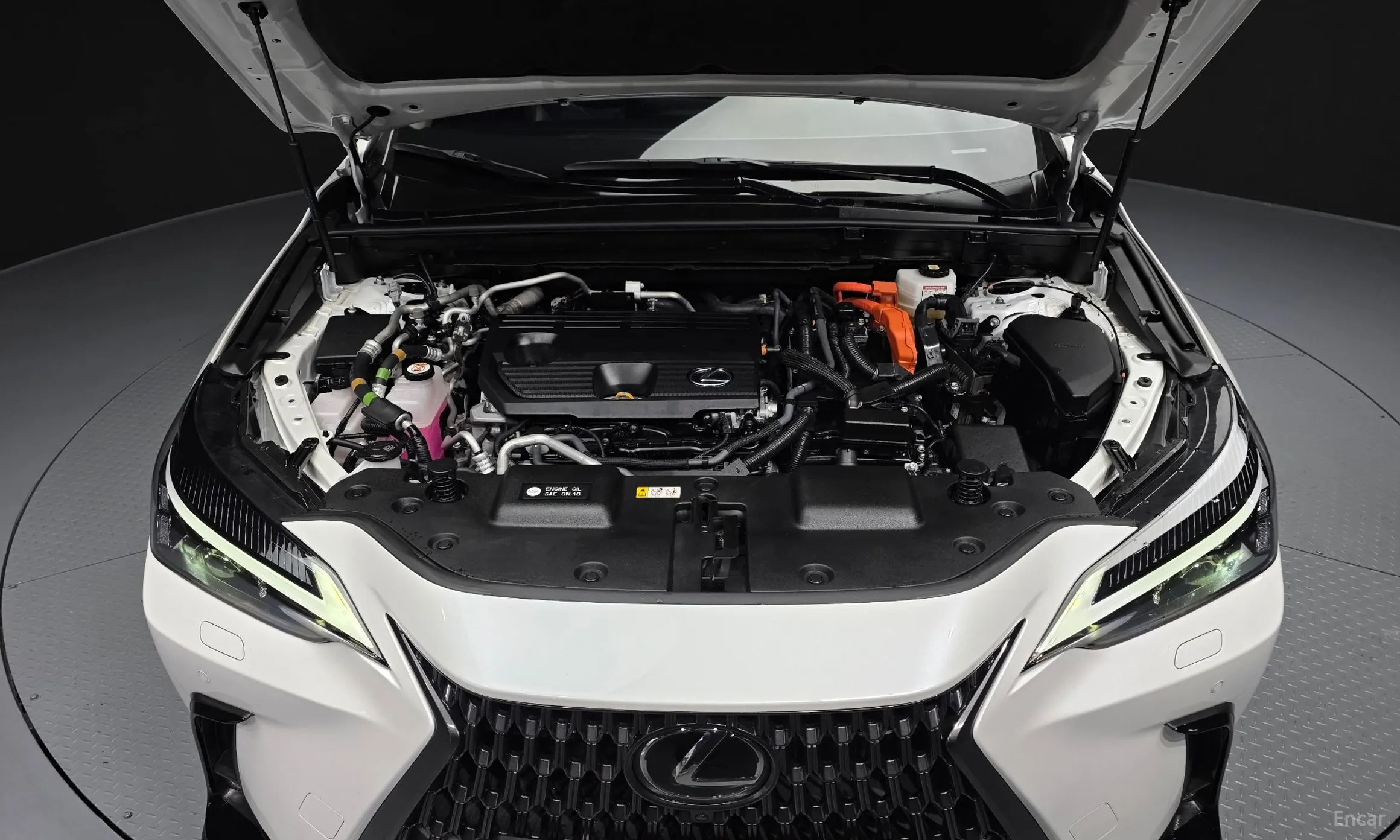 Lexus NX450h + 2nd Gen превью 6