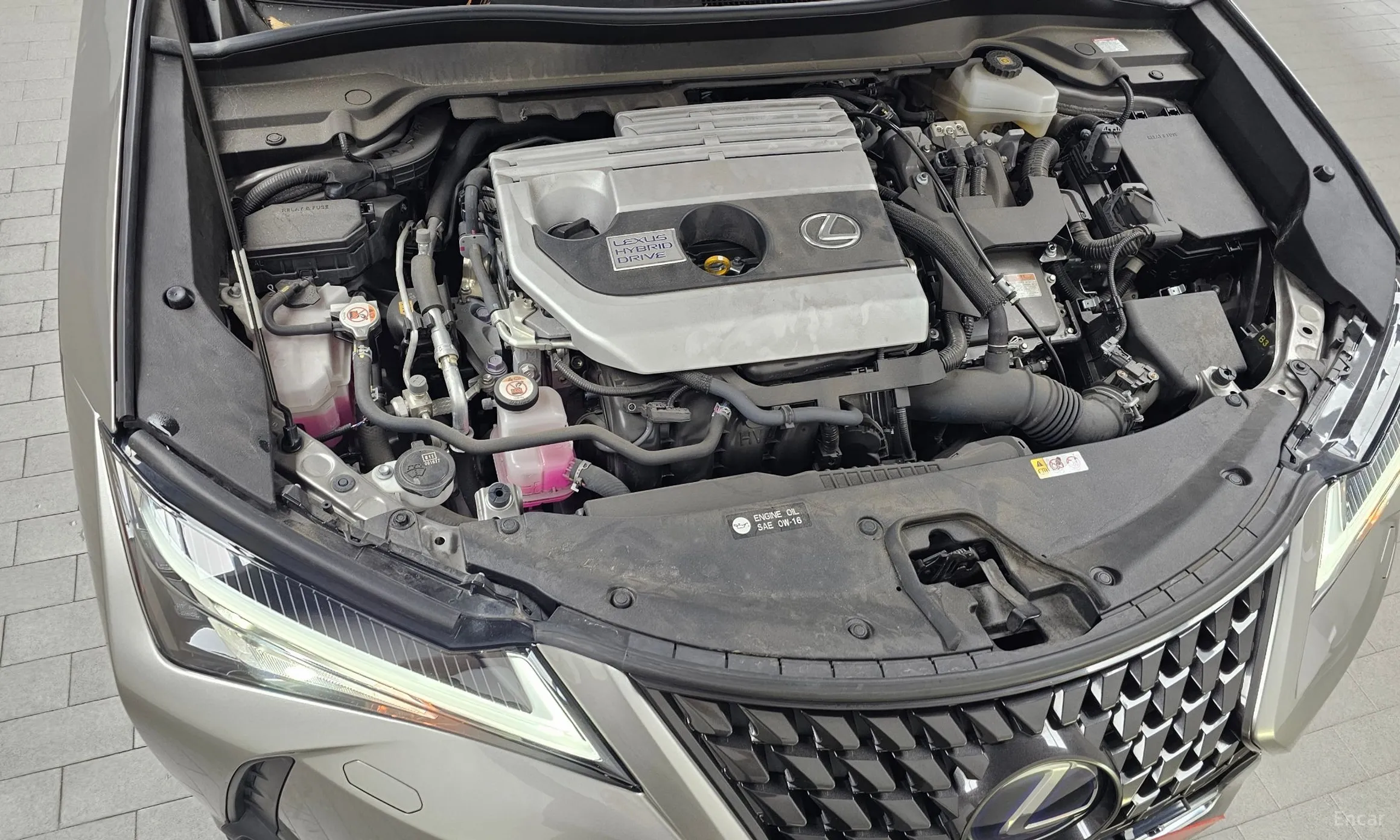 Lexus UX250h превью 6