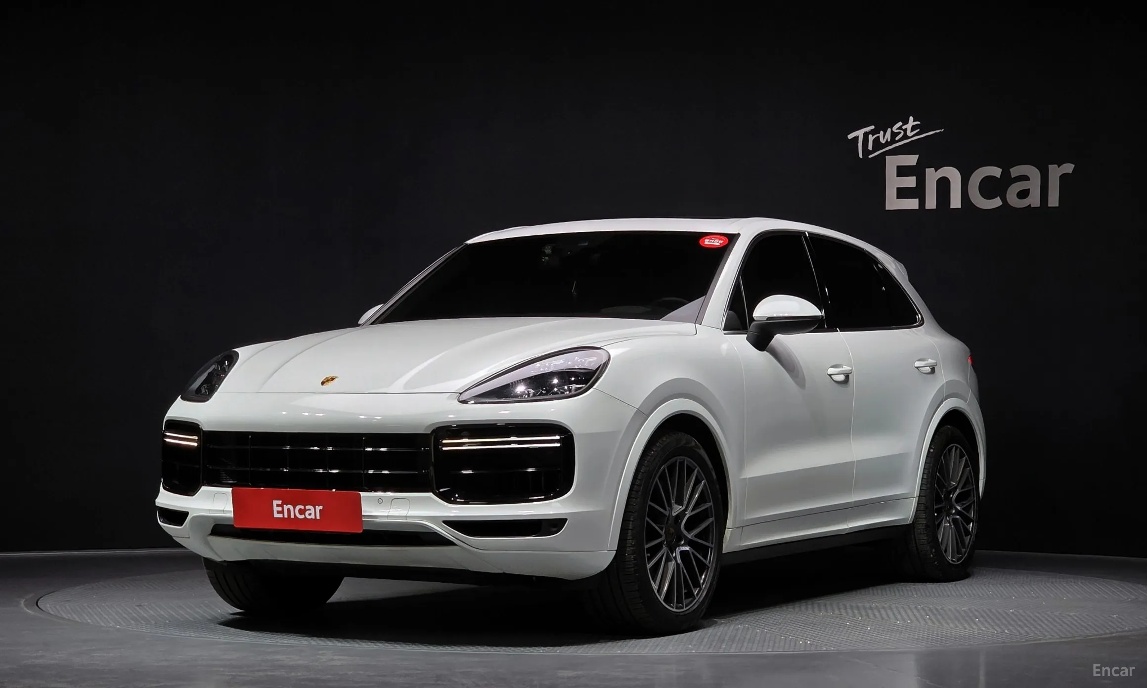 Cayenne (PO536)