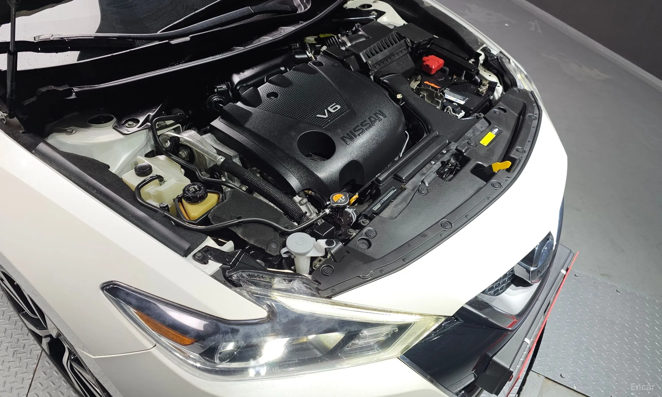Nissan Maxima (A36) превью 6