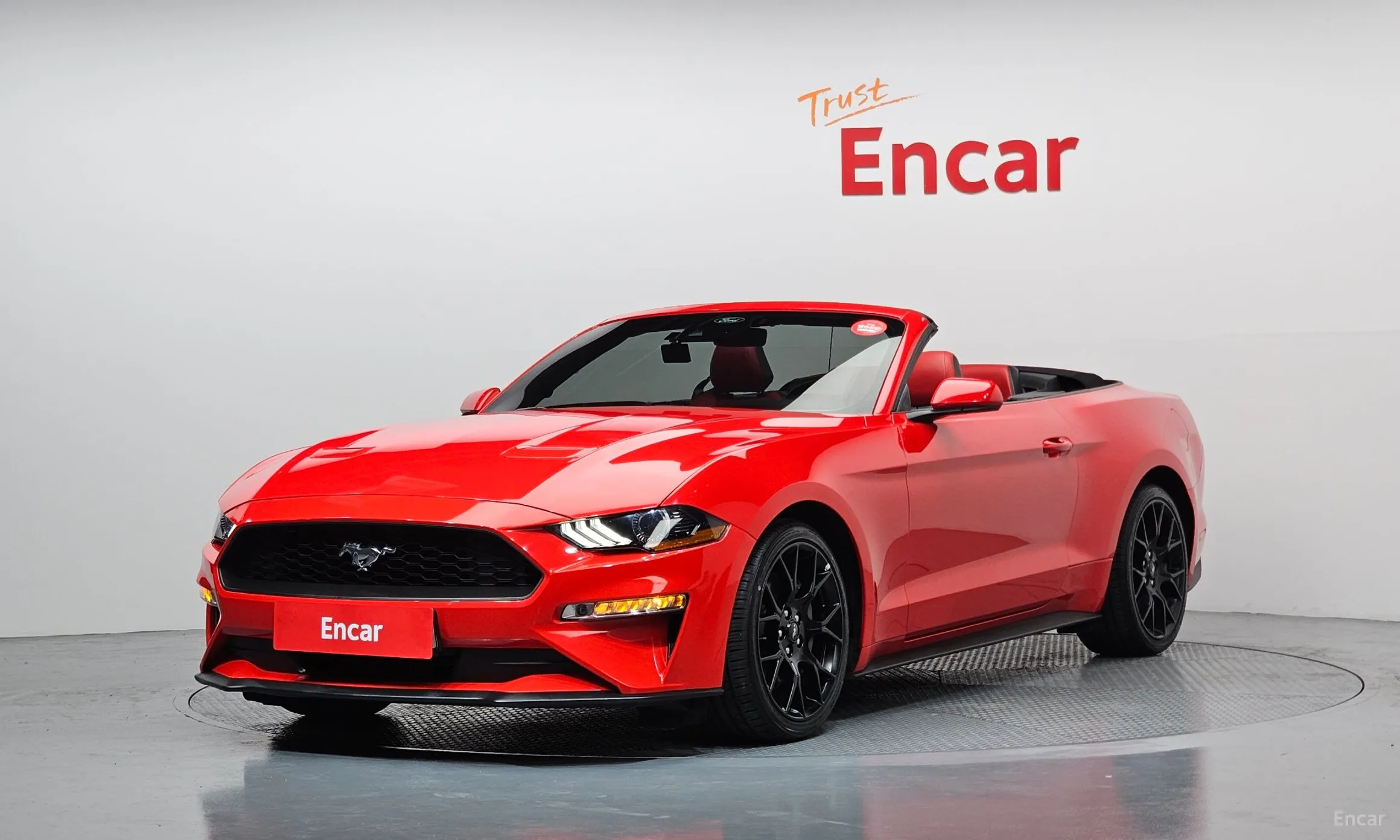Mustang