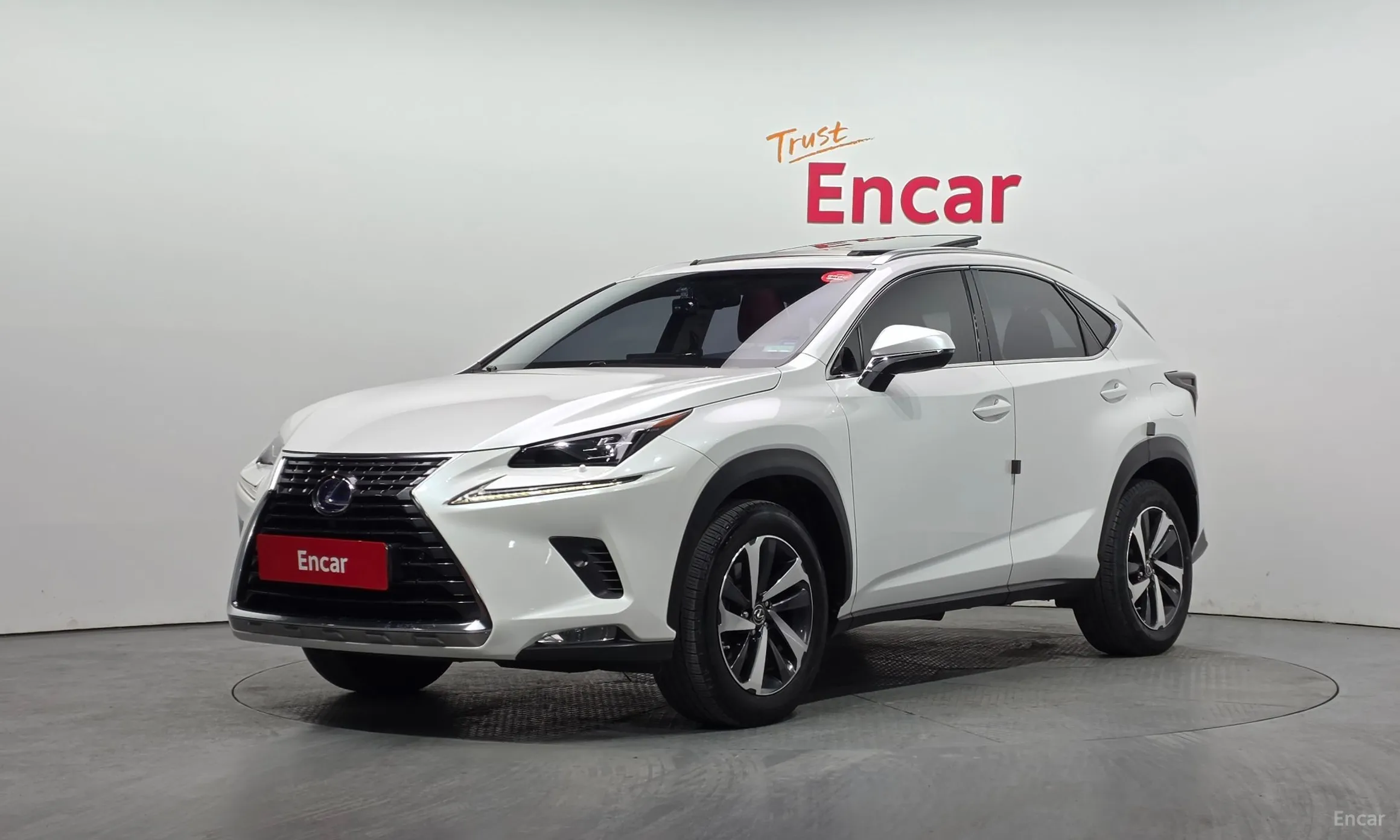 Lexus NX300h