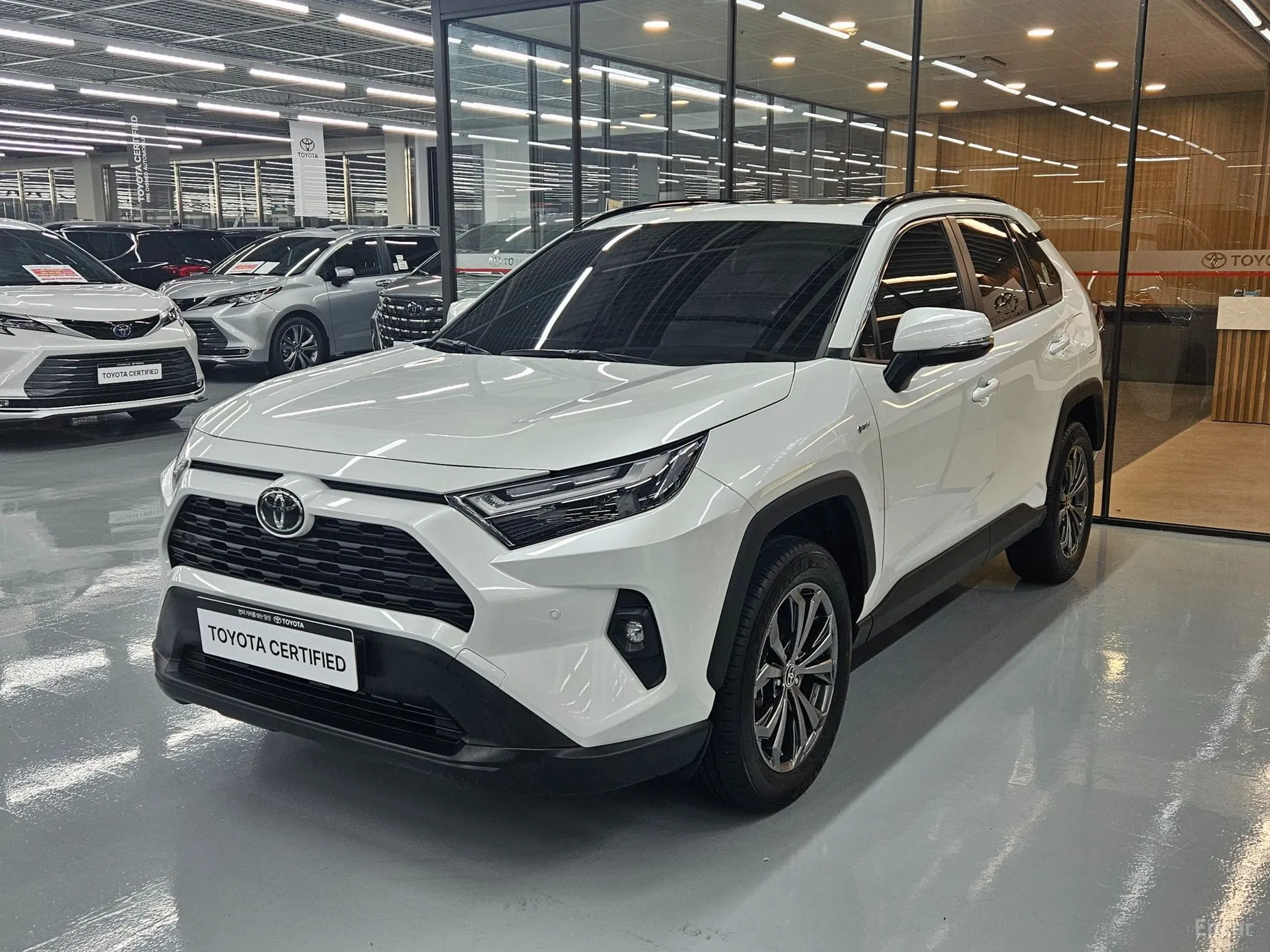 Toyota RAV4 5th Generation