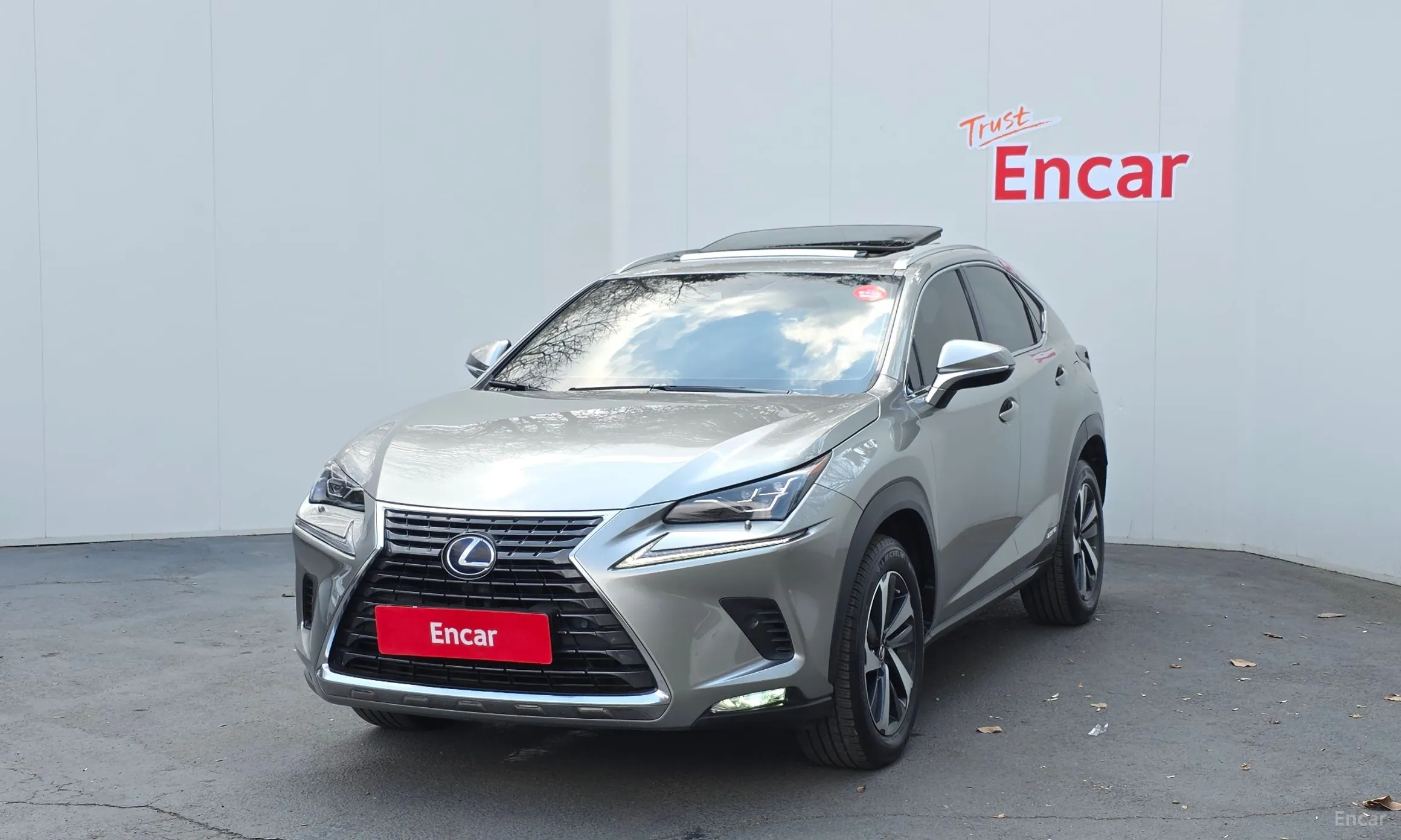 Lexus NX300h