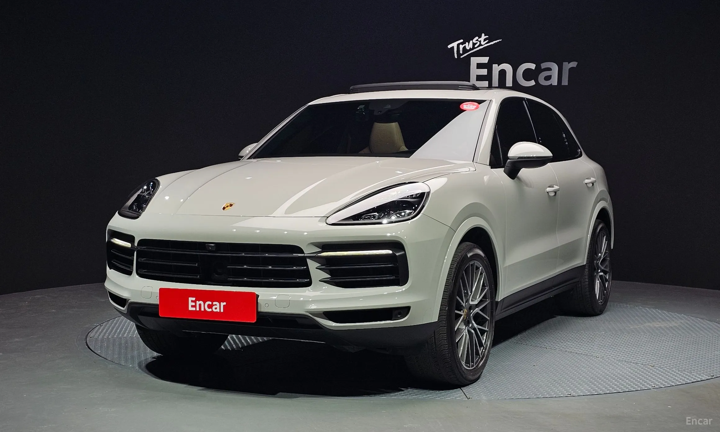 Cayenne (PO536)