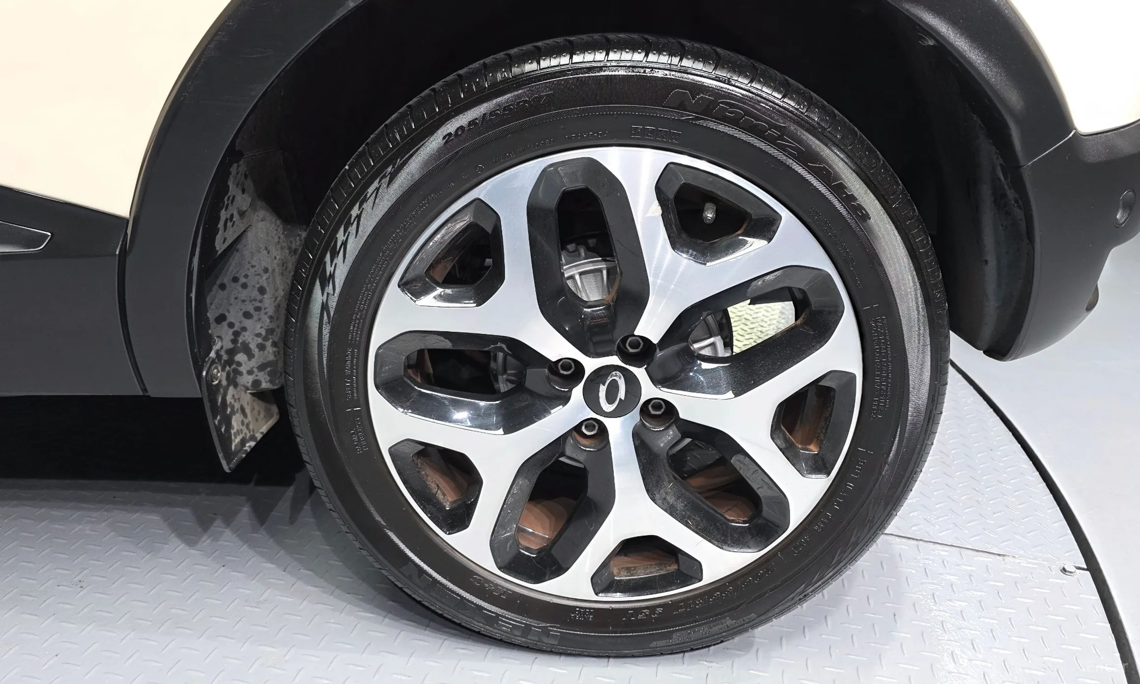 Renault Korea (Samsung) QM3 превью 5