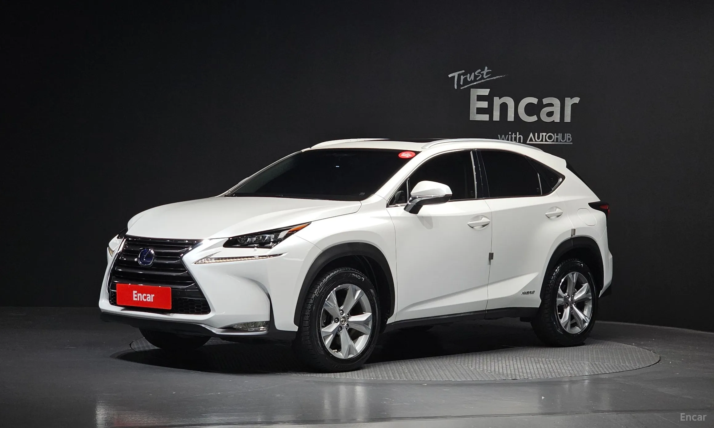 Lexus NX300h