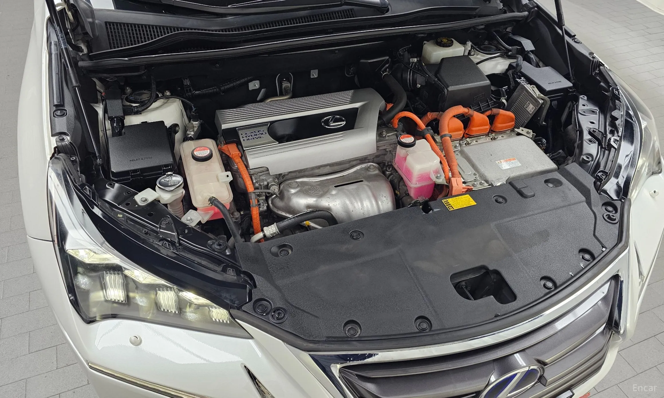 Lexus NX300h превью 6