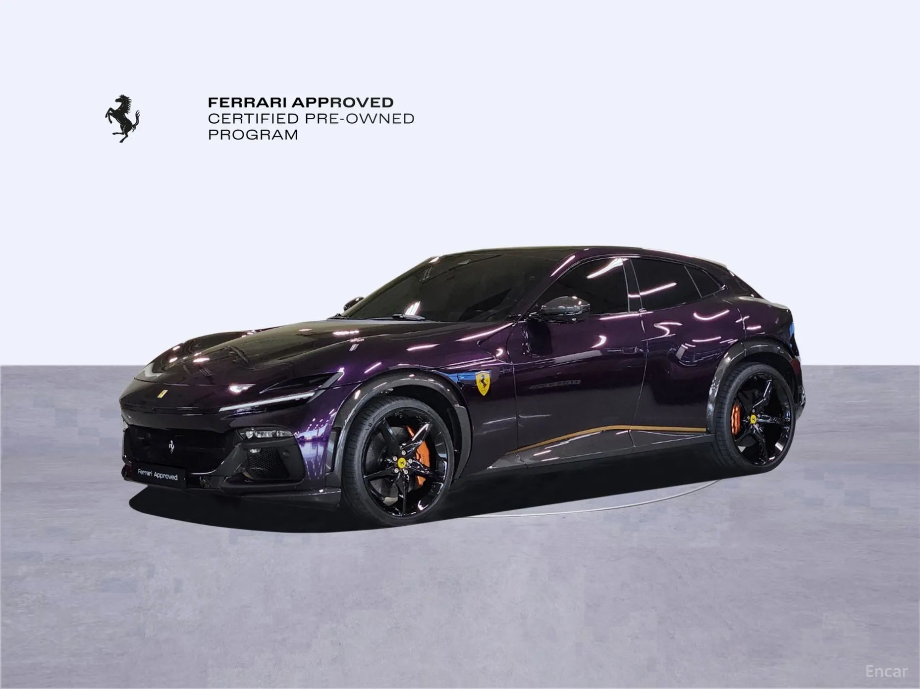 Ferrari Puro Sange превью 10